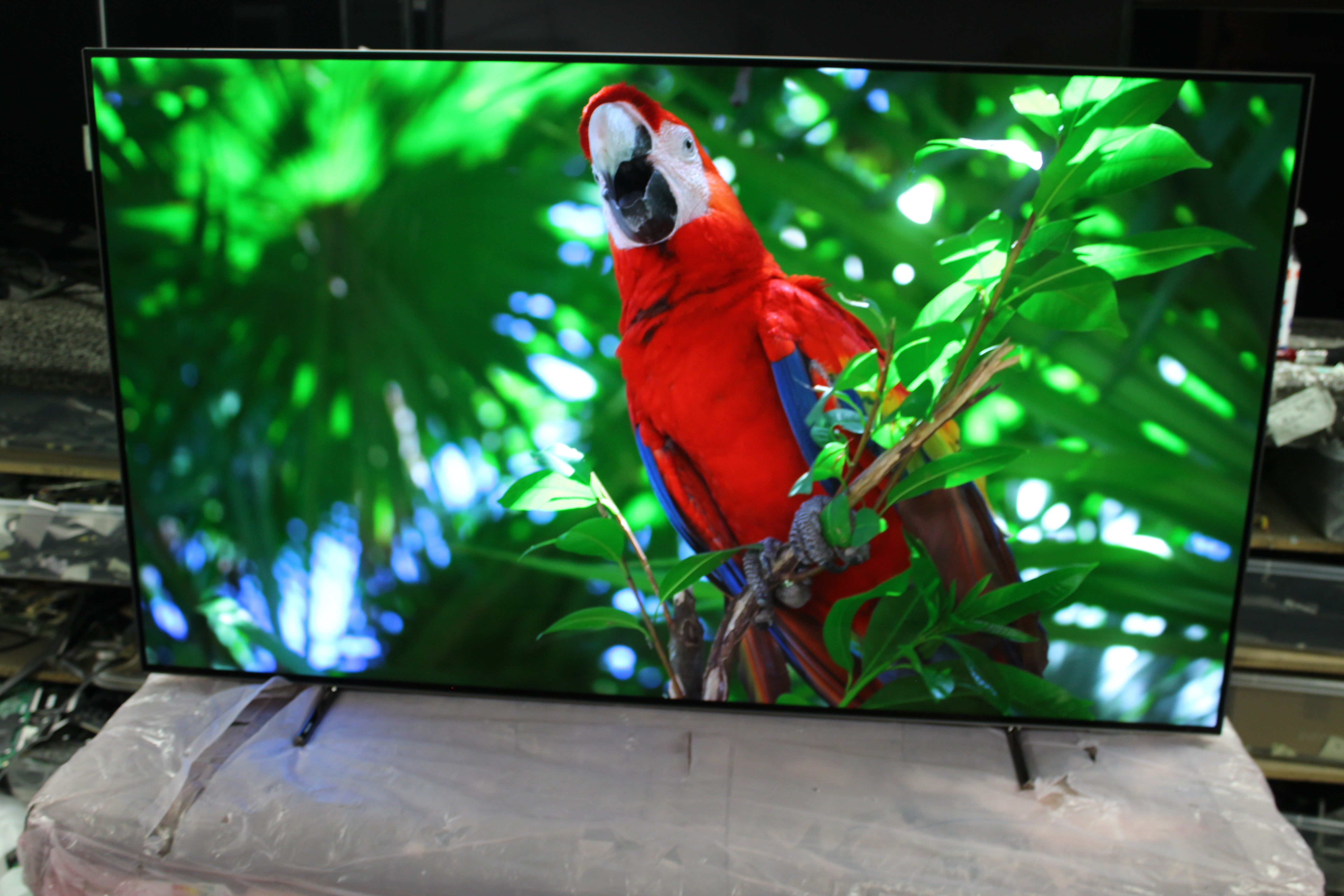 55" Philips 55OLED805/12 Ambilight 4K HDR Android Smart OLED TV - Electronic World TV