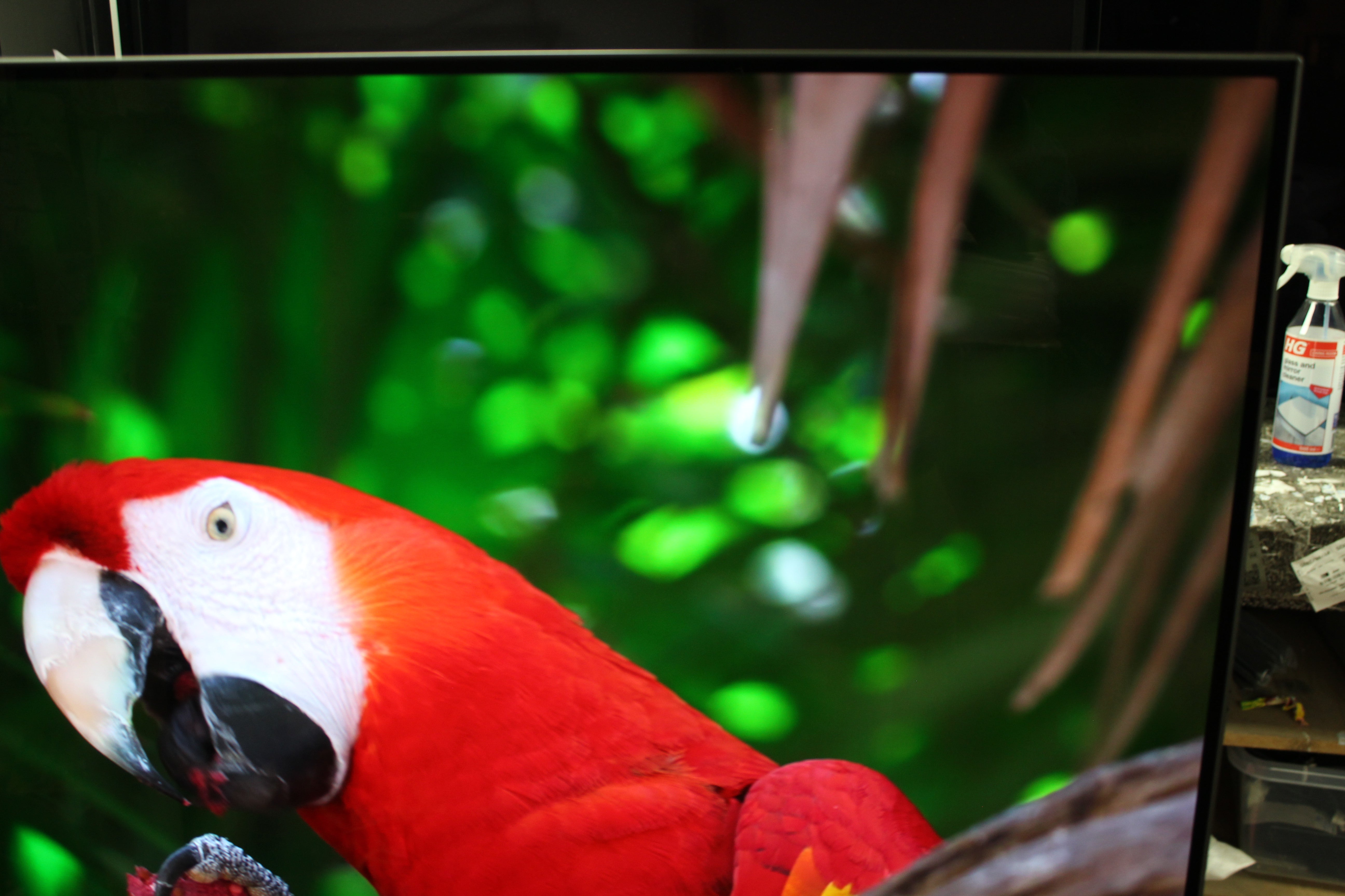 55" Philips 55OLED805/12 Ambilight 4K HDR Android Smart OLED TV - Electronic World TV