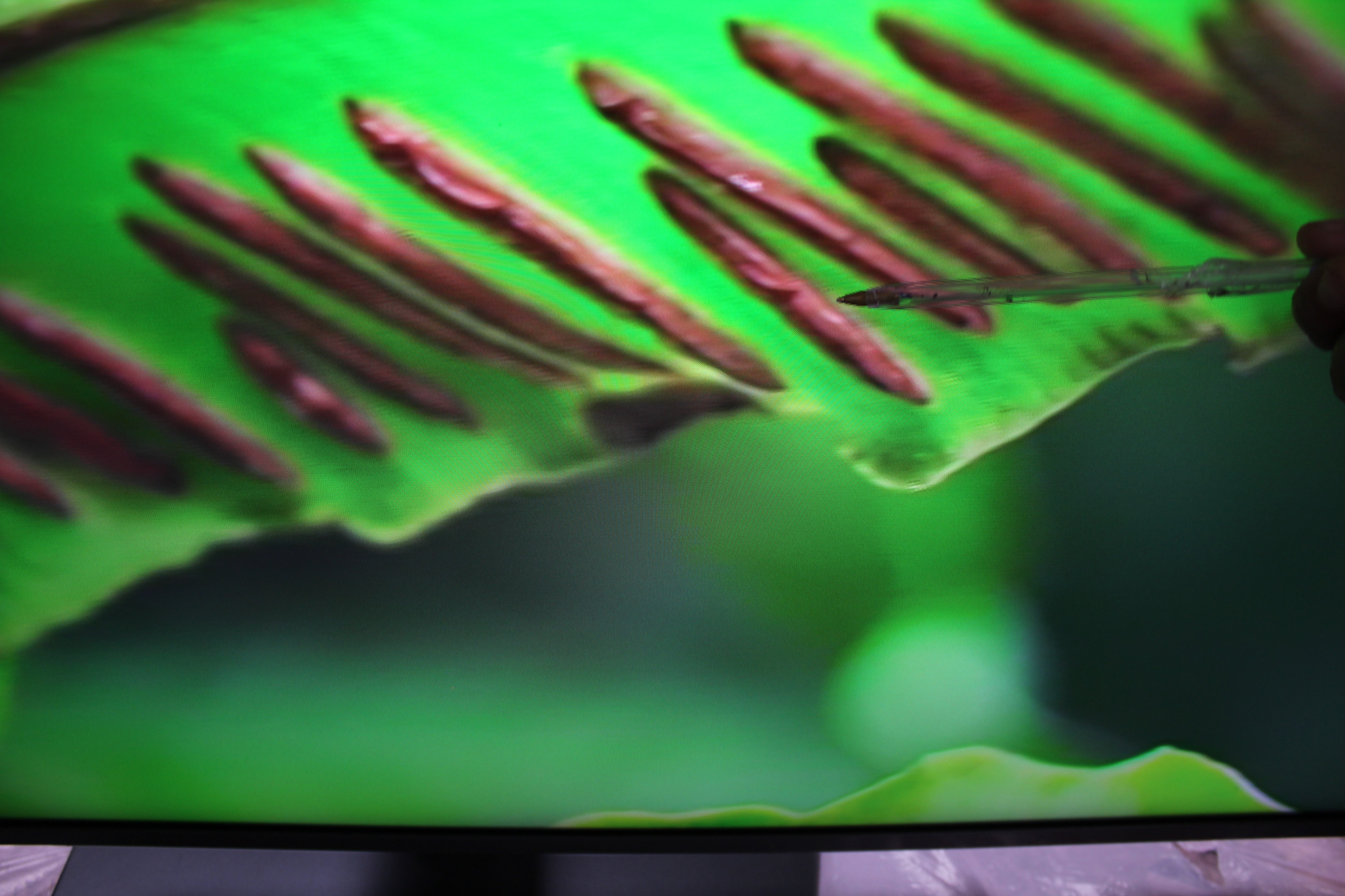 55" Samsung QE55QN85D Flagship 4K HDR Neo QLED TV - Electronic World TV