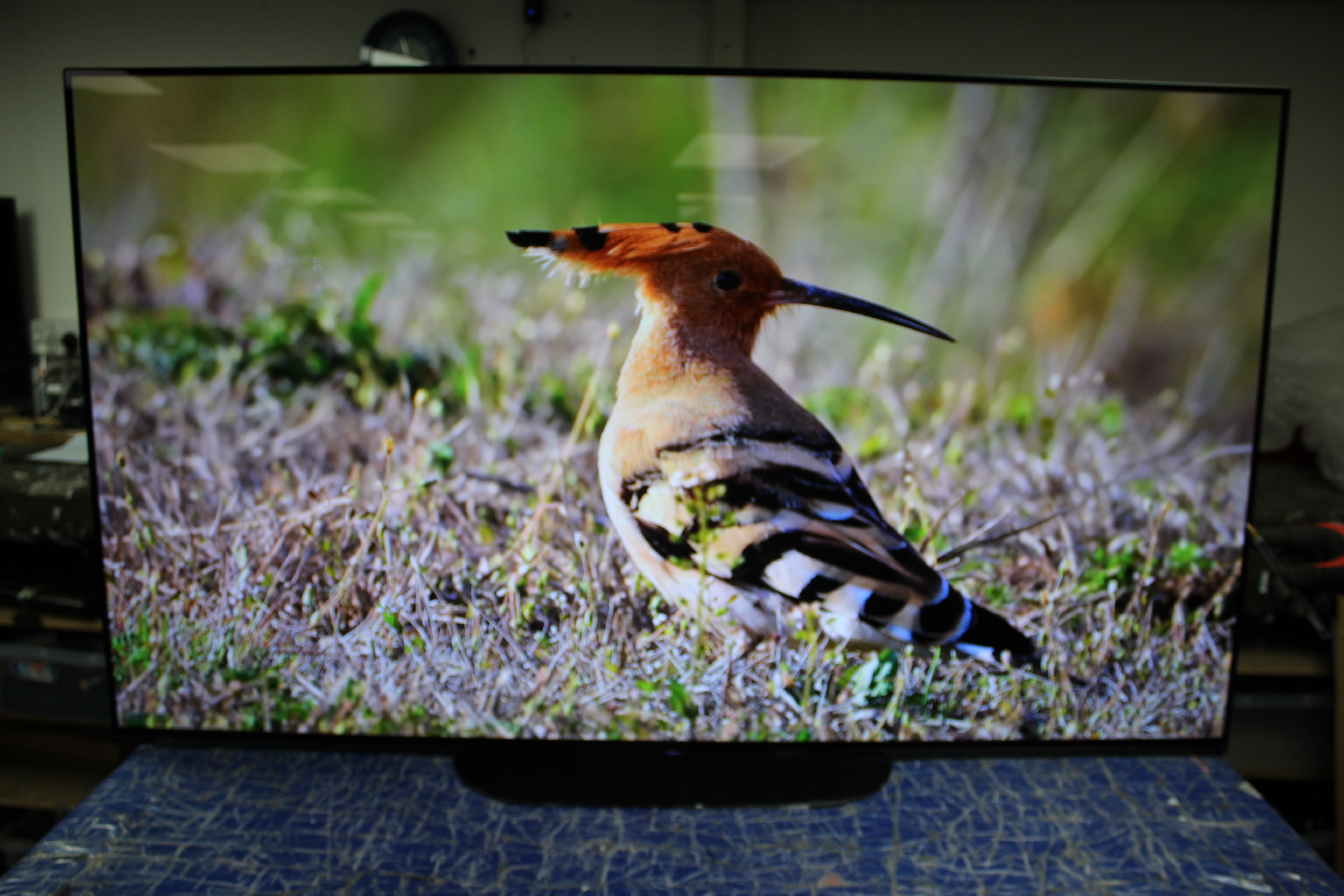 55" Sony KD55AG9BU Master Series 4K HDR Android Smart OLED TV - Electronic World TV