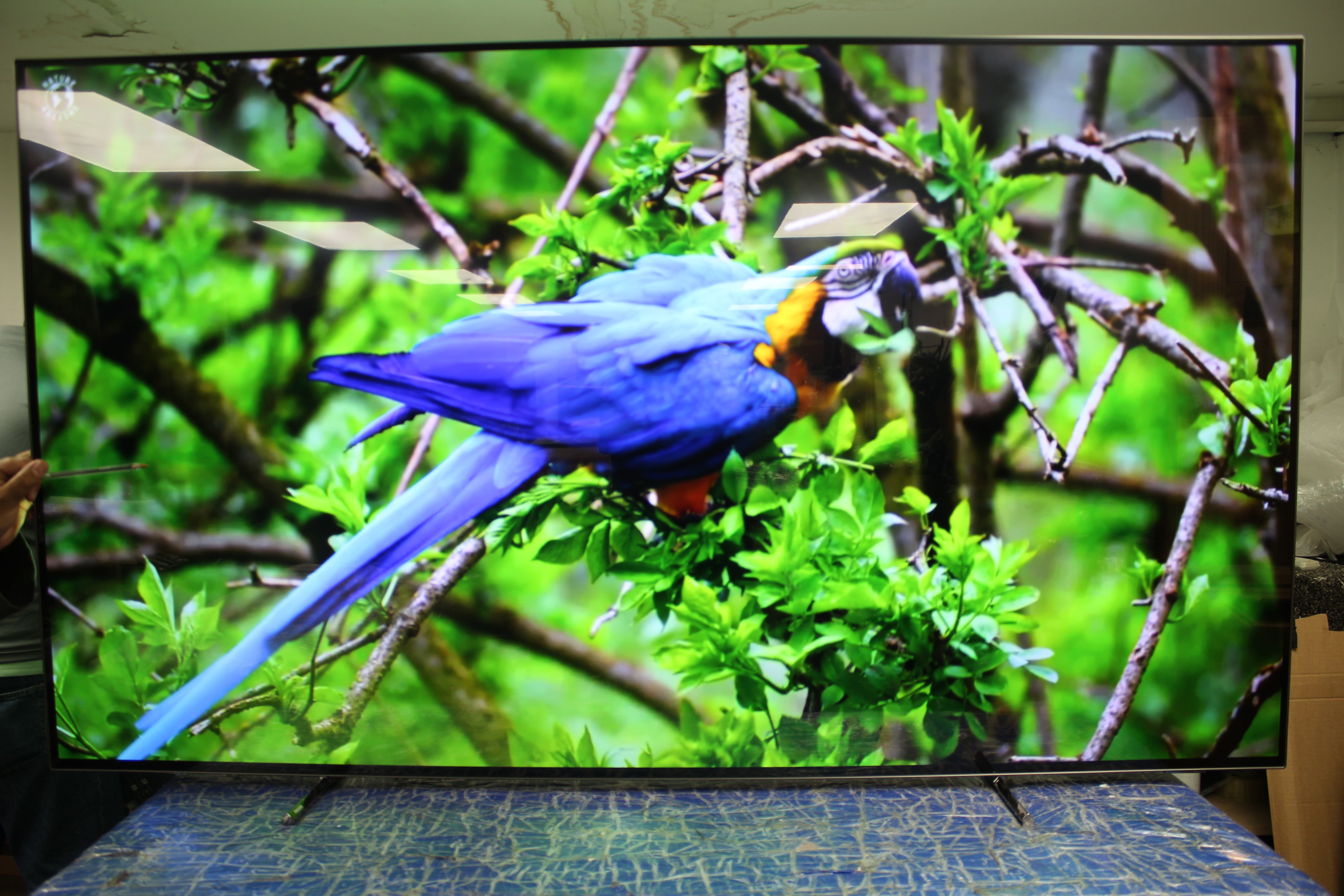 65" Philips 65OLED706/12 Ambilight 4K HDR Android Smart OLED TV - Electronic World TV