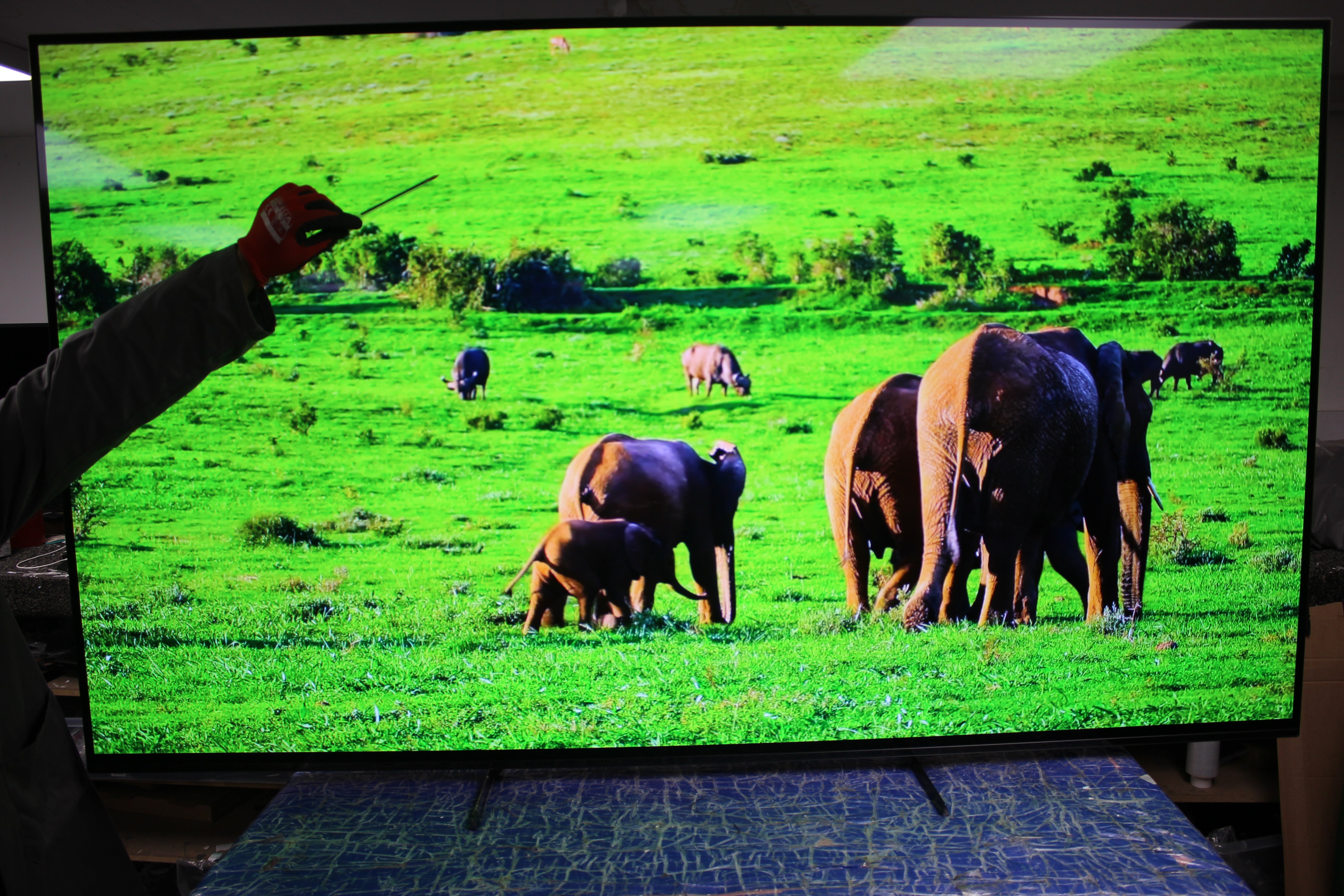 77" Sony Bravia XR77A84LU 4K HDR Google Smart OLED TV - Electronic World TV