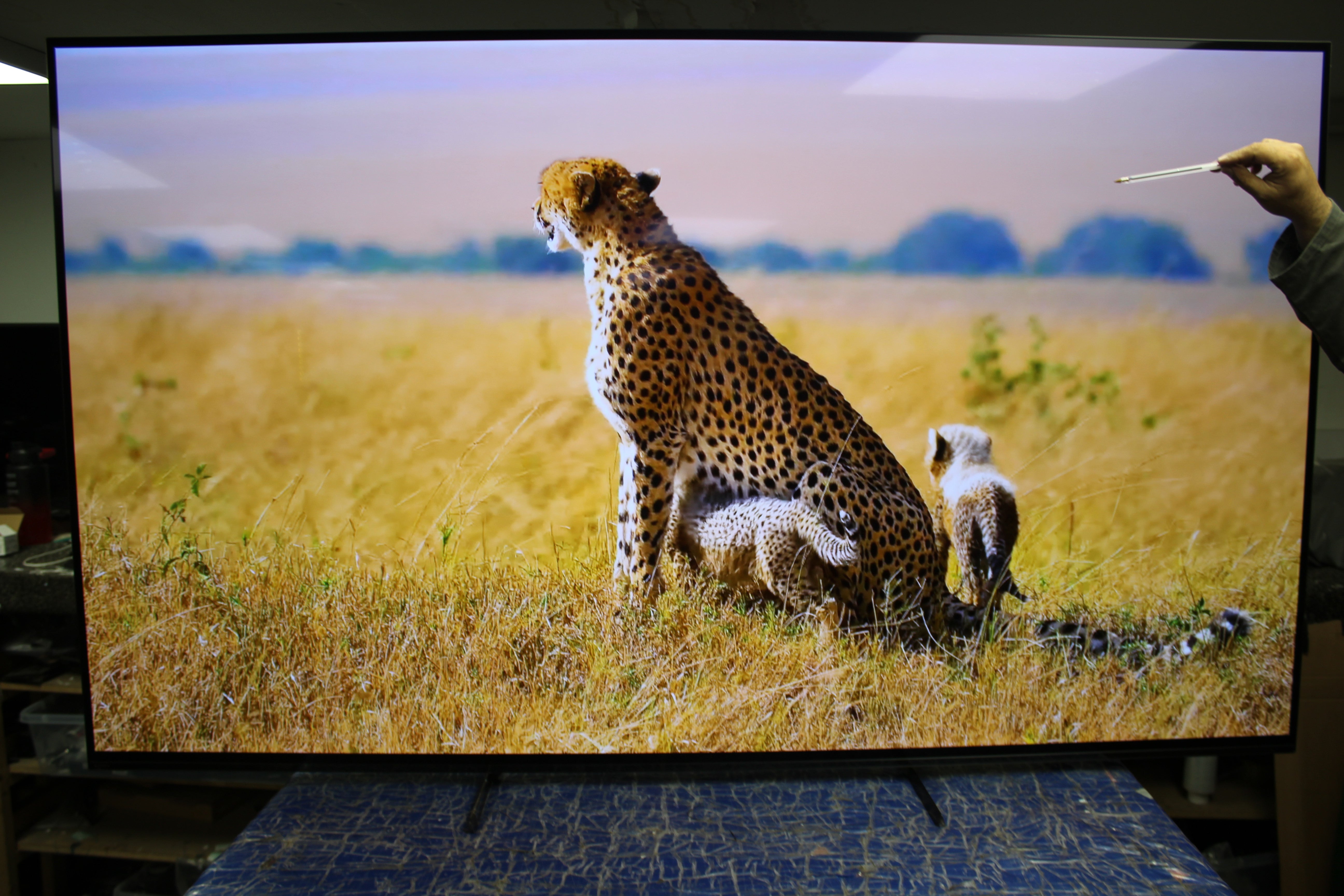 77" Sony Bravia XR77A84LU 4K HDR Google Smart OLED TV - Electronic World TV