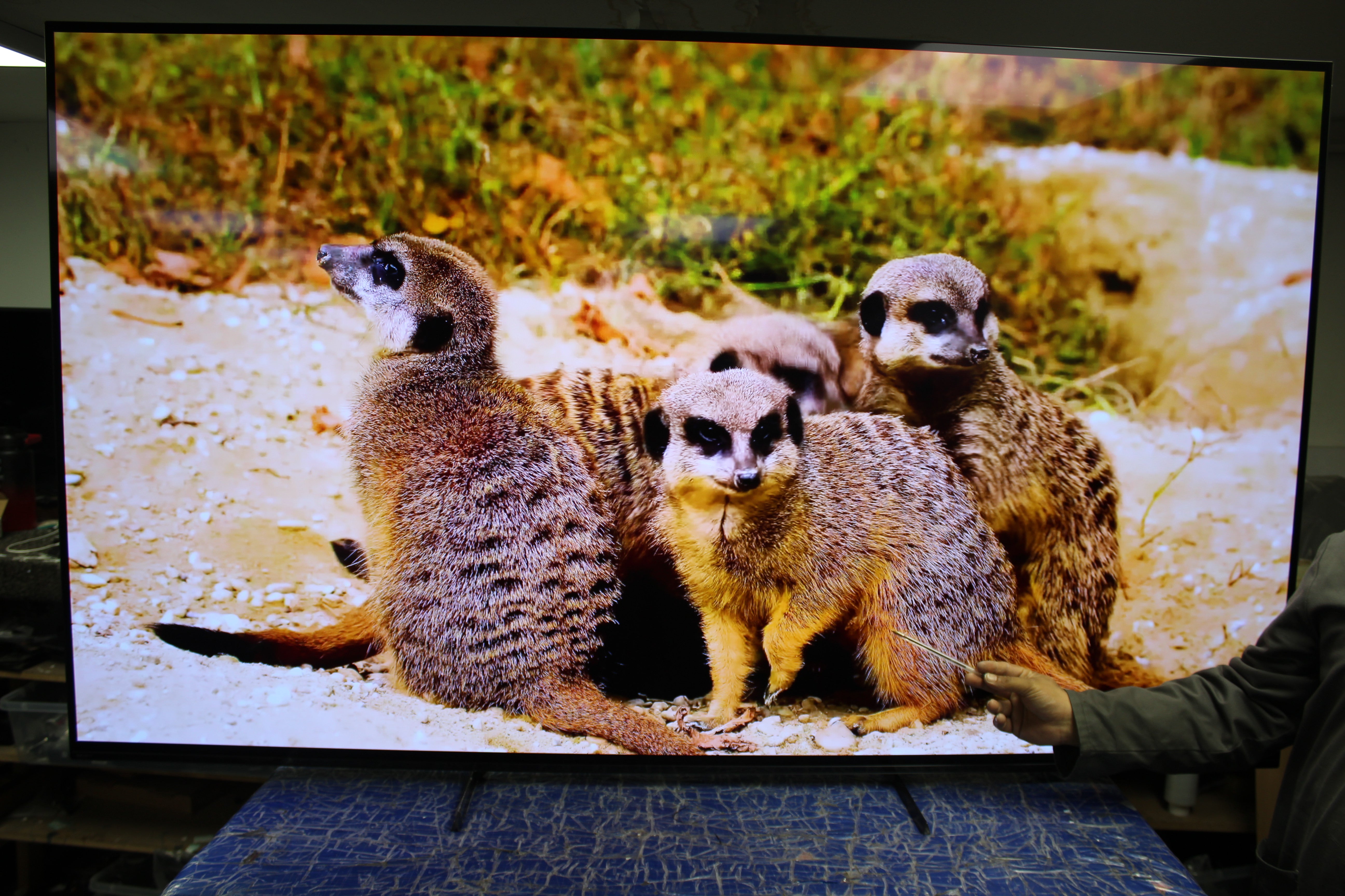 77" Sony Bravia XR77A84LU 4K HDR Google Smart OLED TV - Electronic World TV
