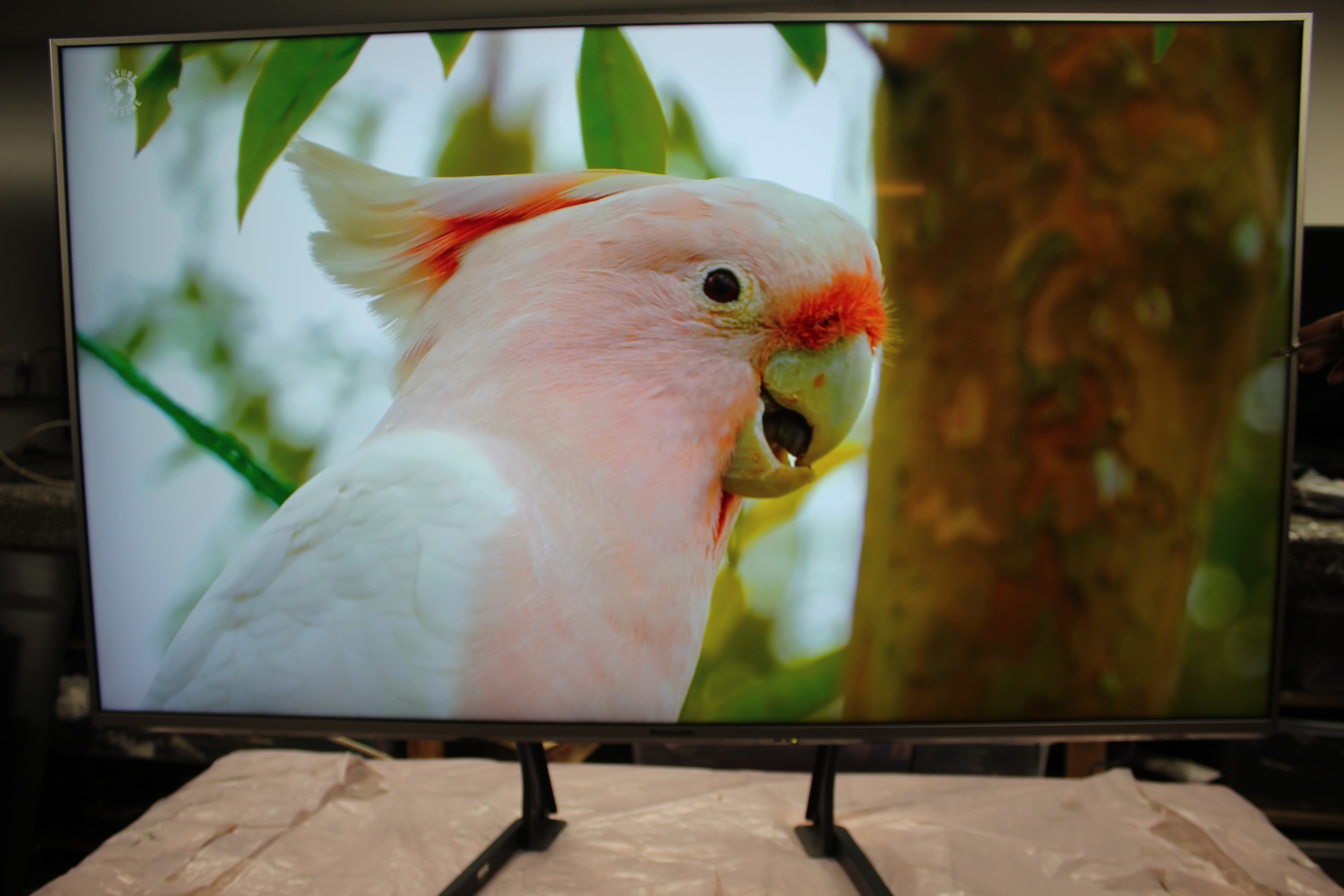 50" Panasonic TX-50EX700B 4K Ultra HD Freeview HD Smart LED HDR TV - Electronic World TV