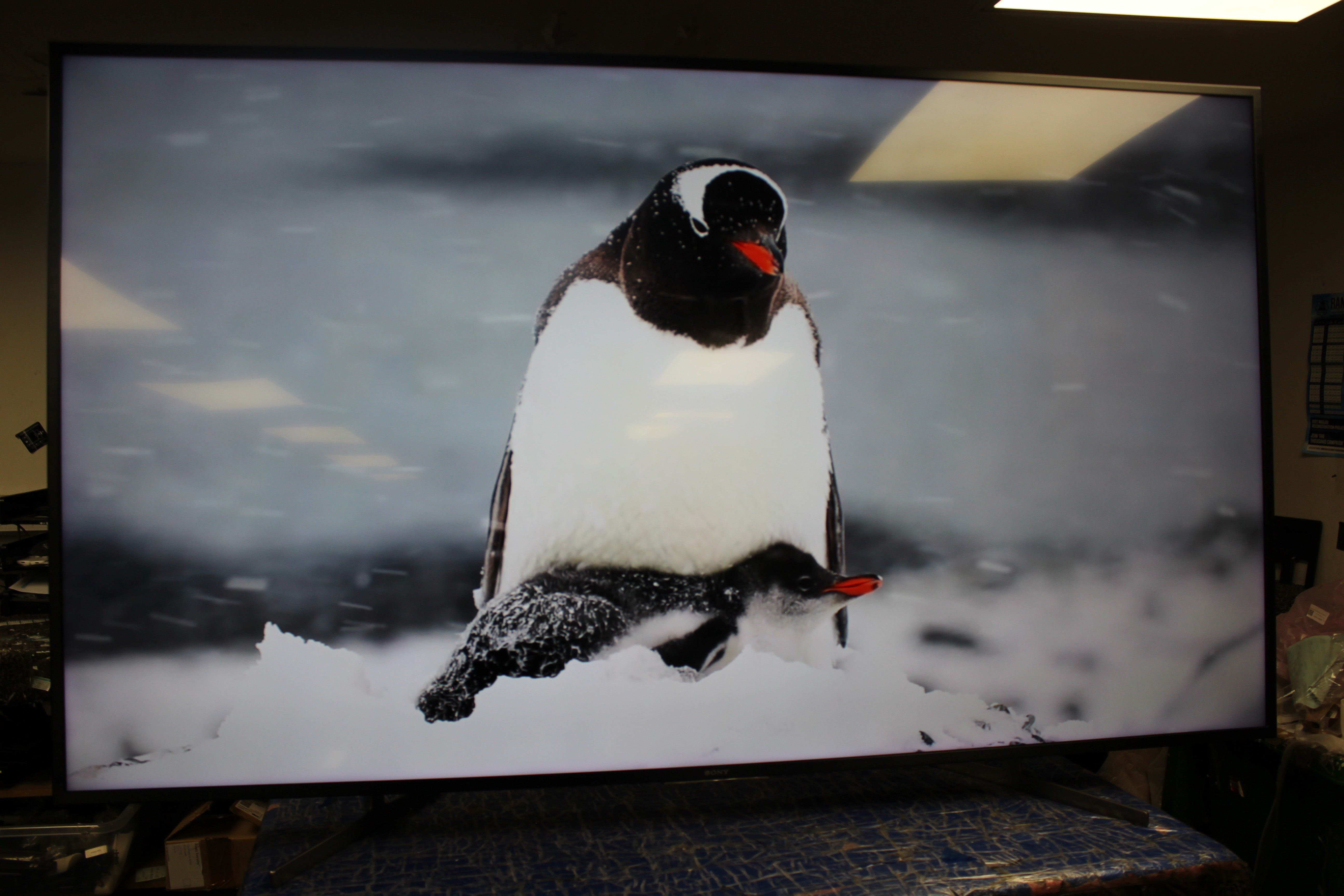 75" Sony Bravia KD75XG8096BU 4K HDR Android Smart LED TV - Electronic World TV