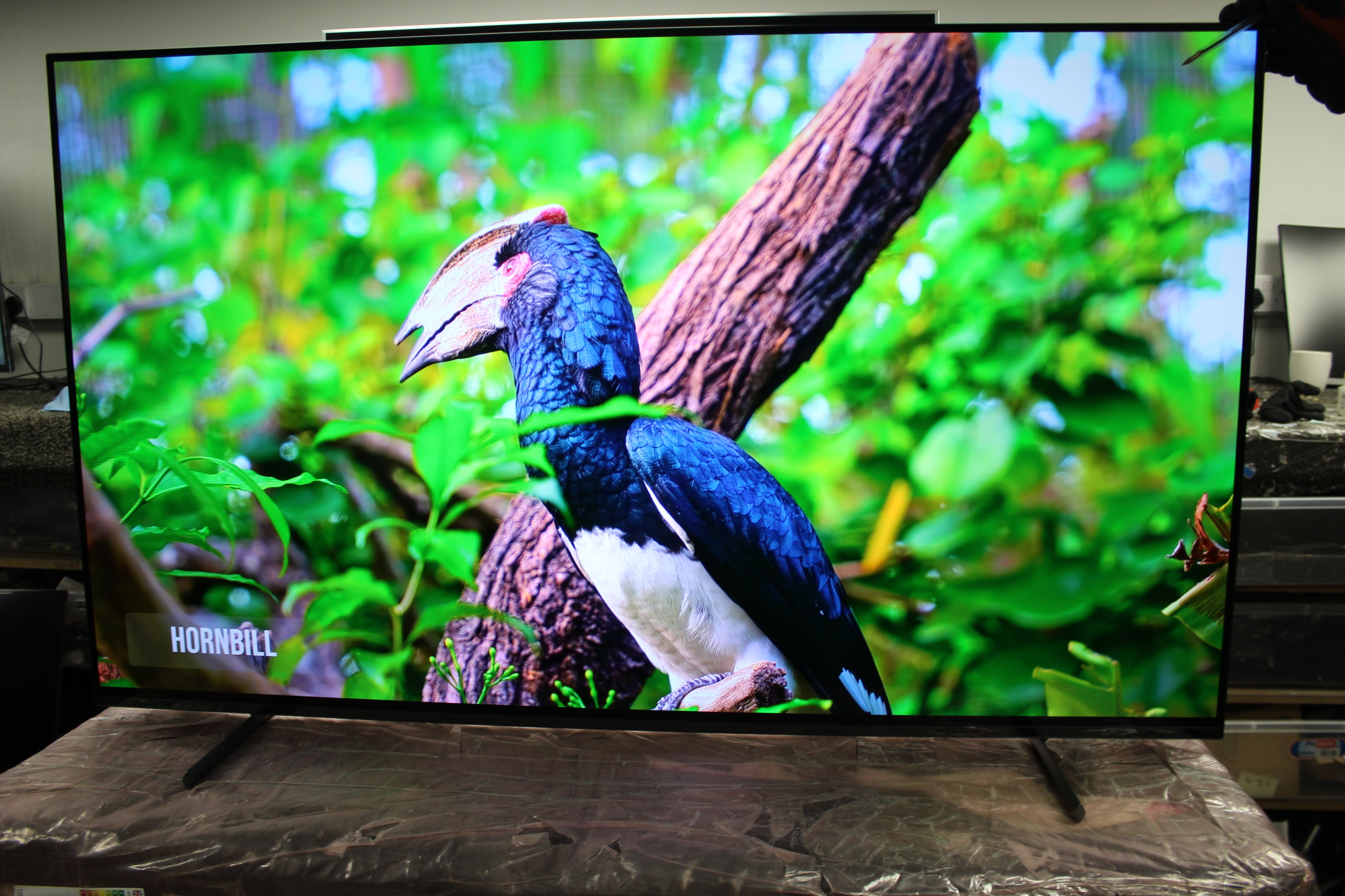 55" Sony Bravia XR55A80LU 4K HDR Google Smart OLED TV - Electronic World TV