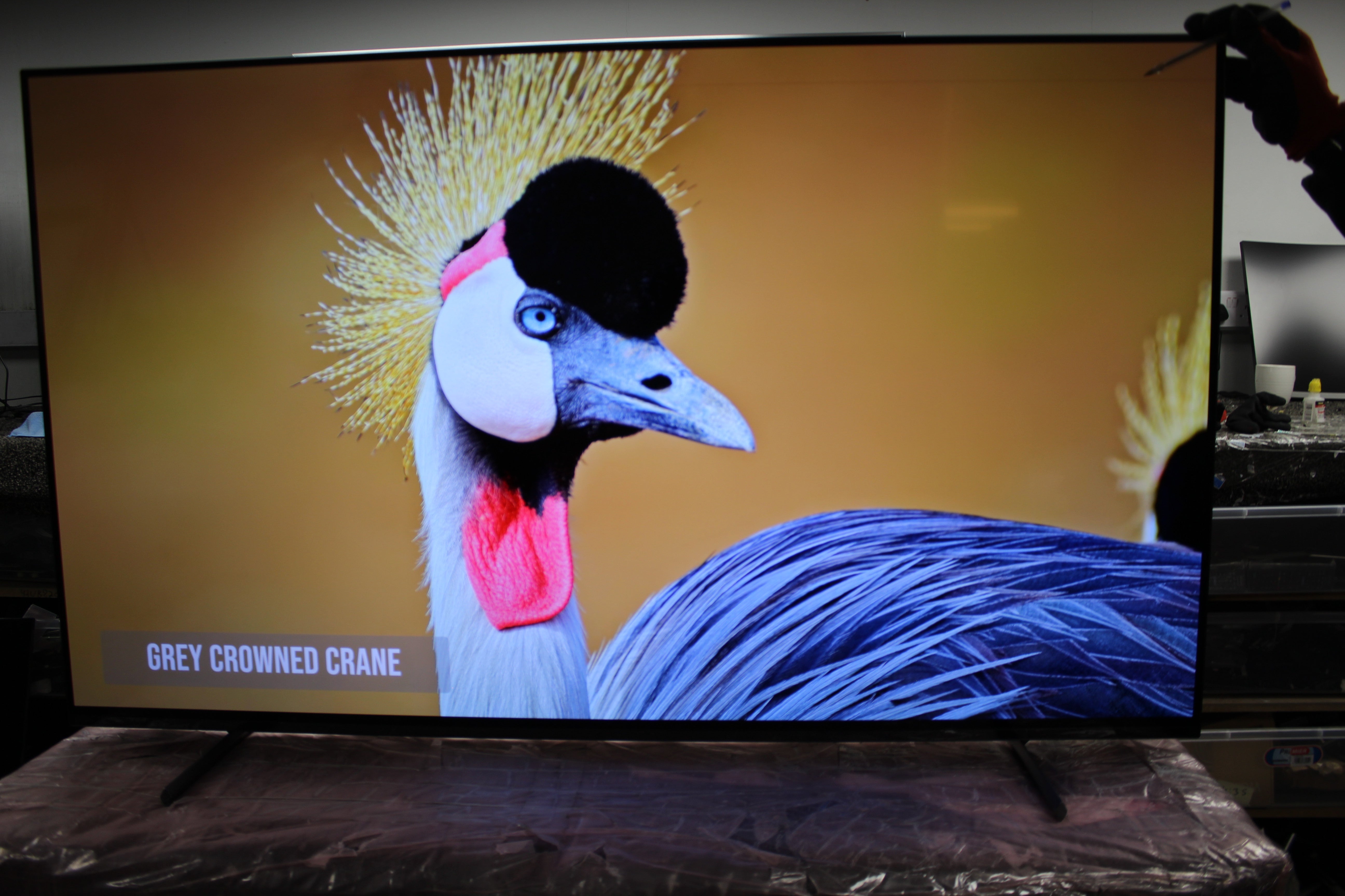 55" Sony Bravia XR55A80LU 4K HDR Google Smart OLED TV - Electronic World TV