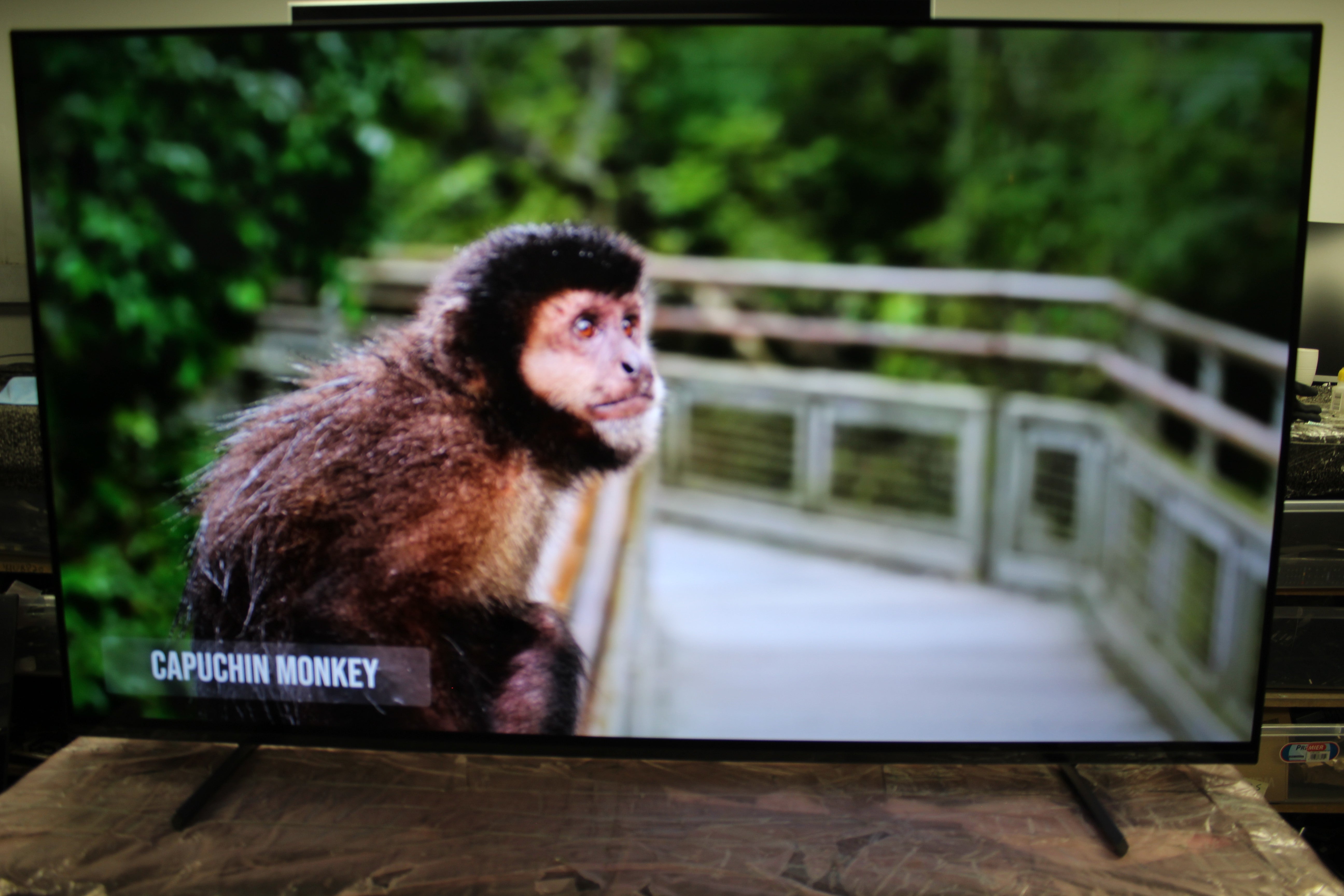 55" Sony Bravia XR55A80LU 4K HDR Google Smart OLED TV - Electronic World TV