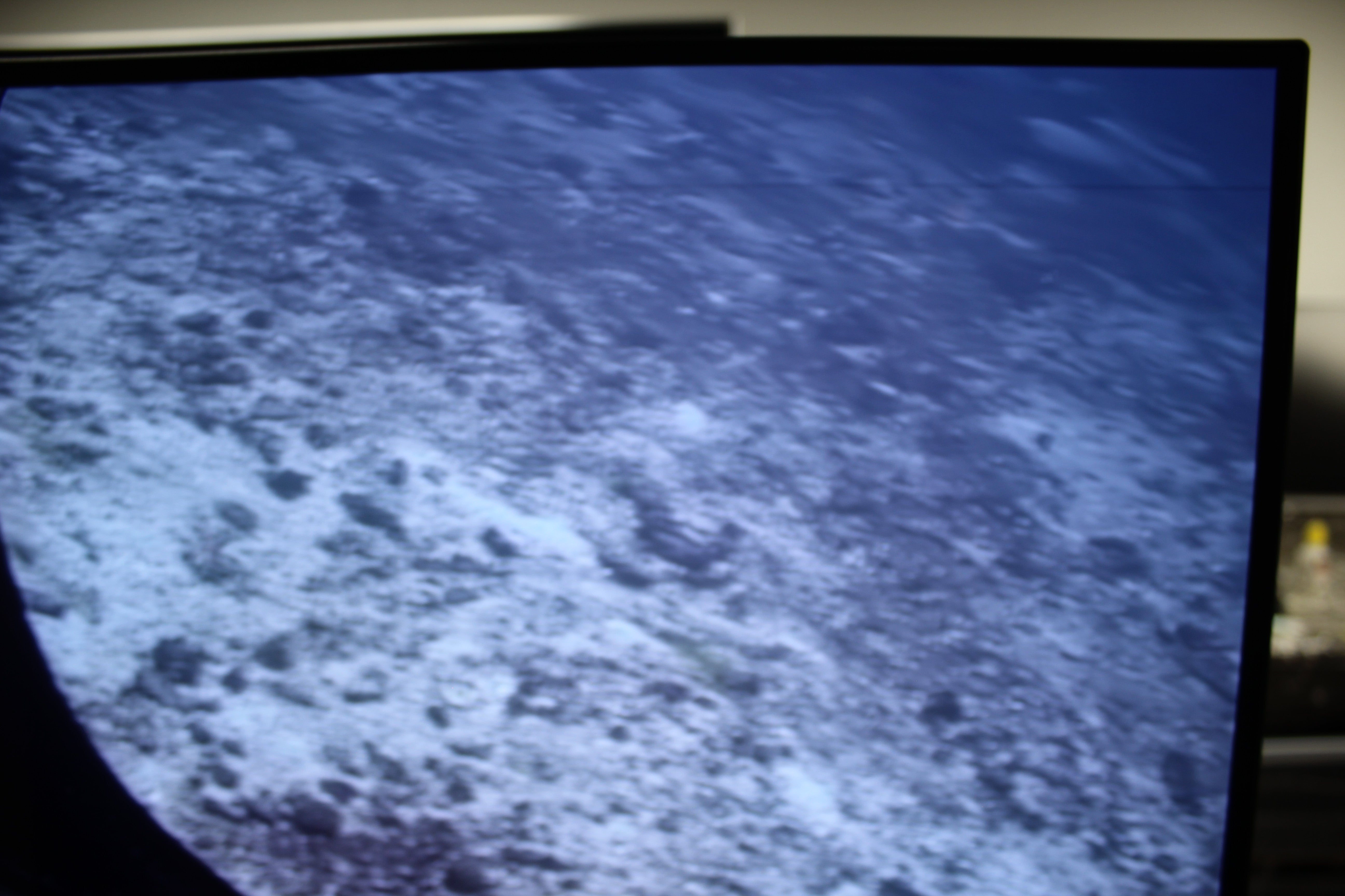 55" Sony Bravia XR55A80LU 4K HDR Google Smart OLED TV - Electronic World TV