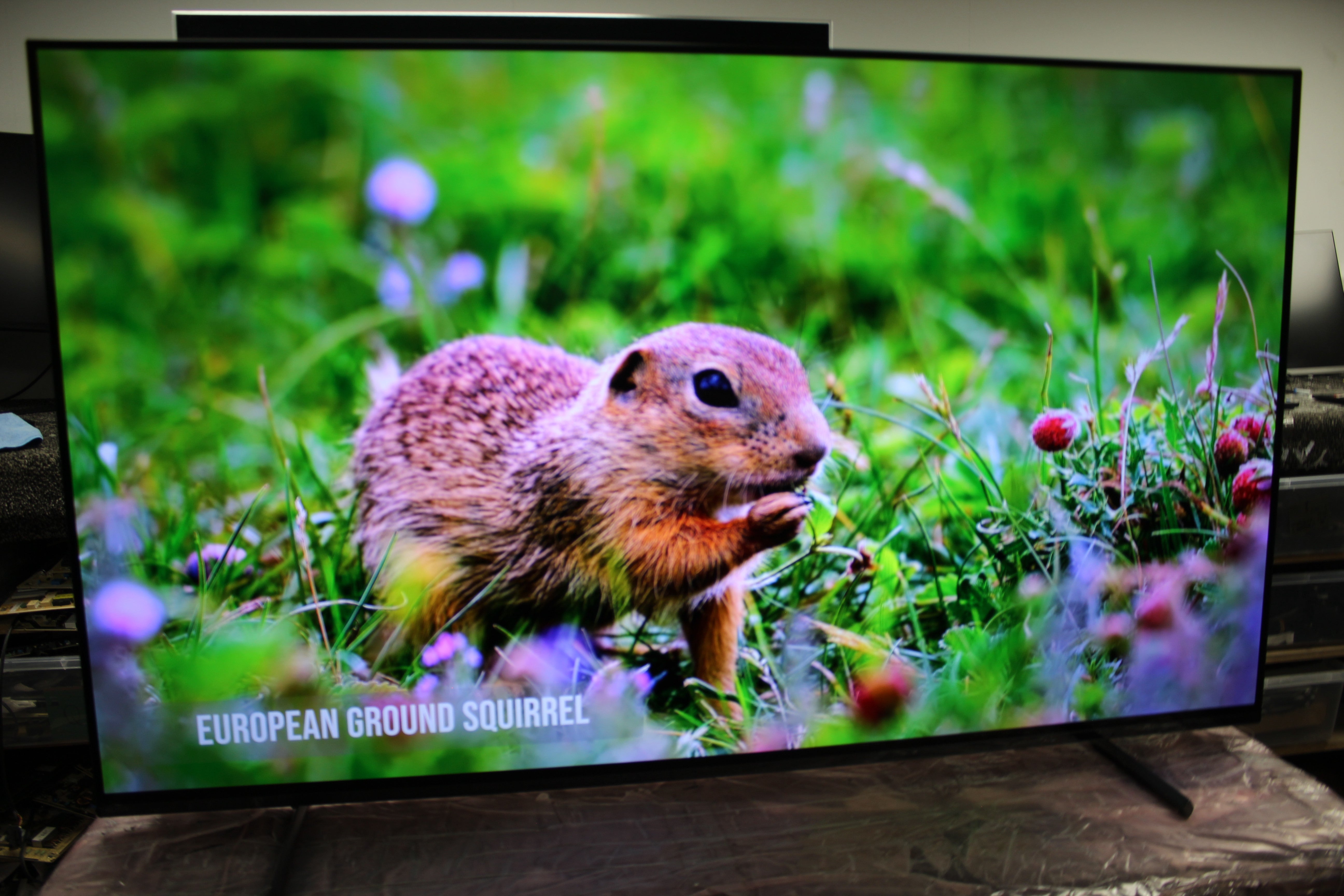 55" Sony Bravia XR55A80LU 4K HDR Google Smart OLED TV - Electronic World TV