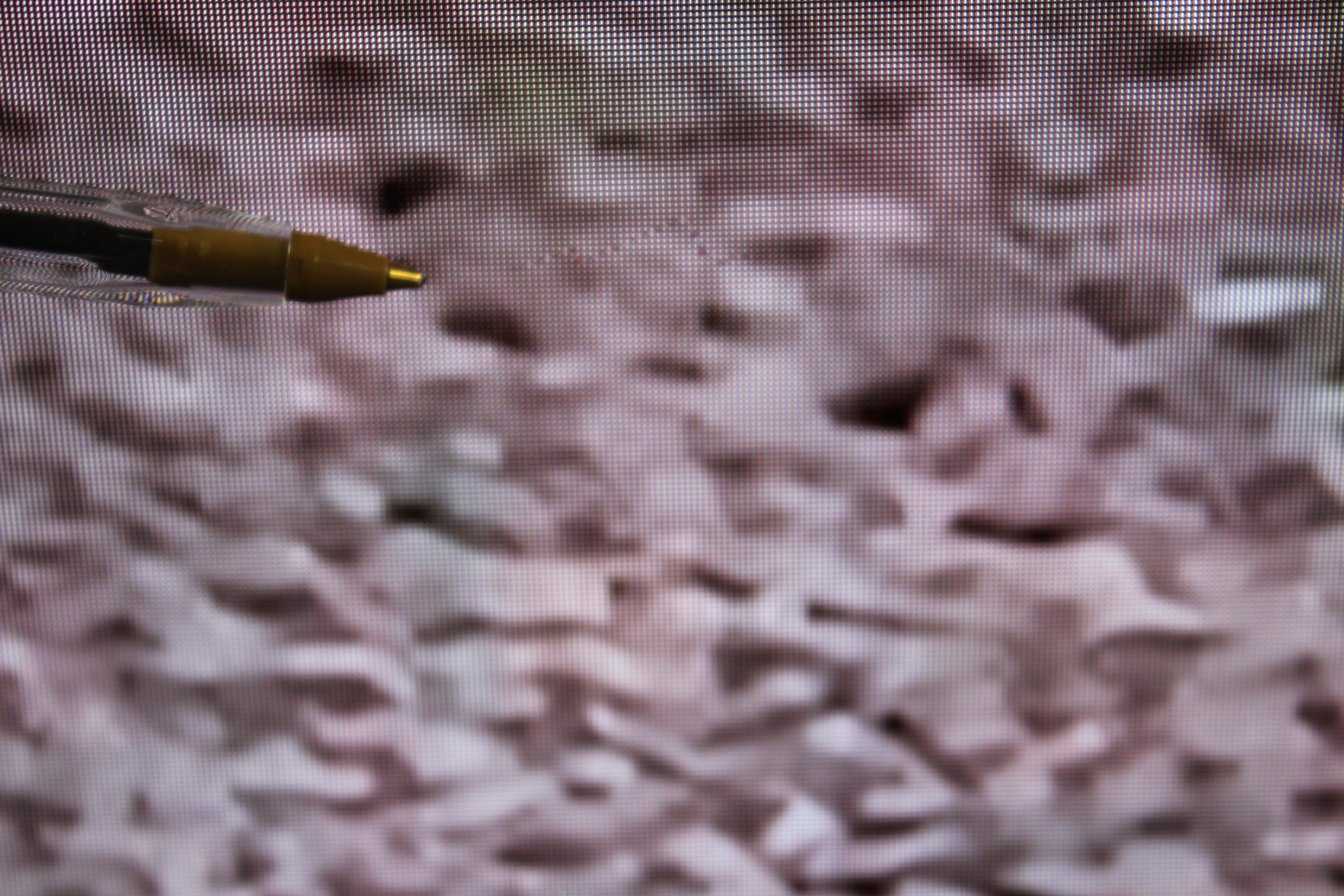 77" LG OLED77C14LB 4K HDR Smart OLED TV - Electronic World TV