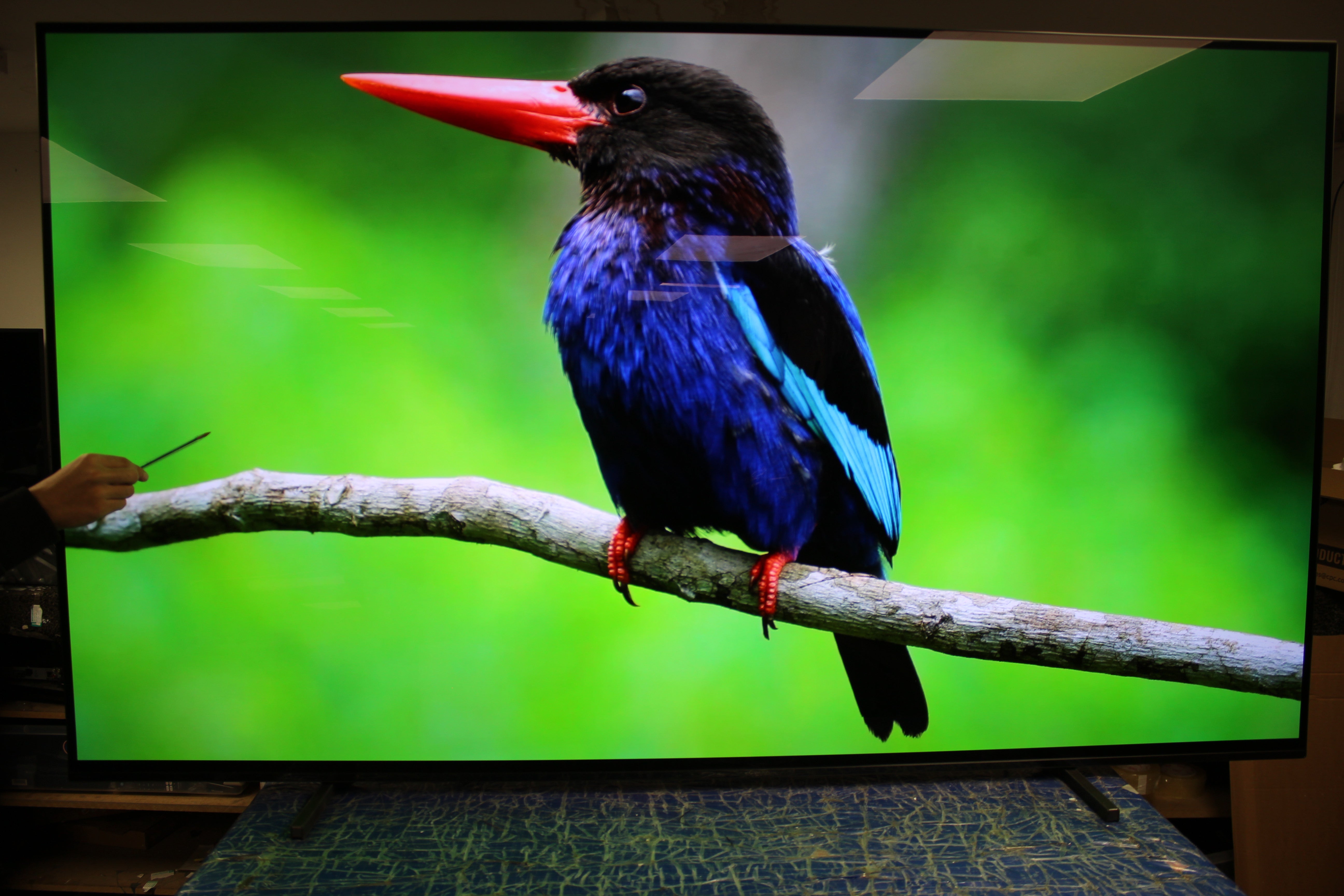 77" Sony Bravia XR77A84JU 4K HDR Google Smart OLED TV - Electronic World TV