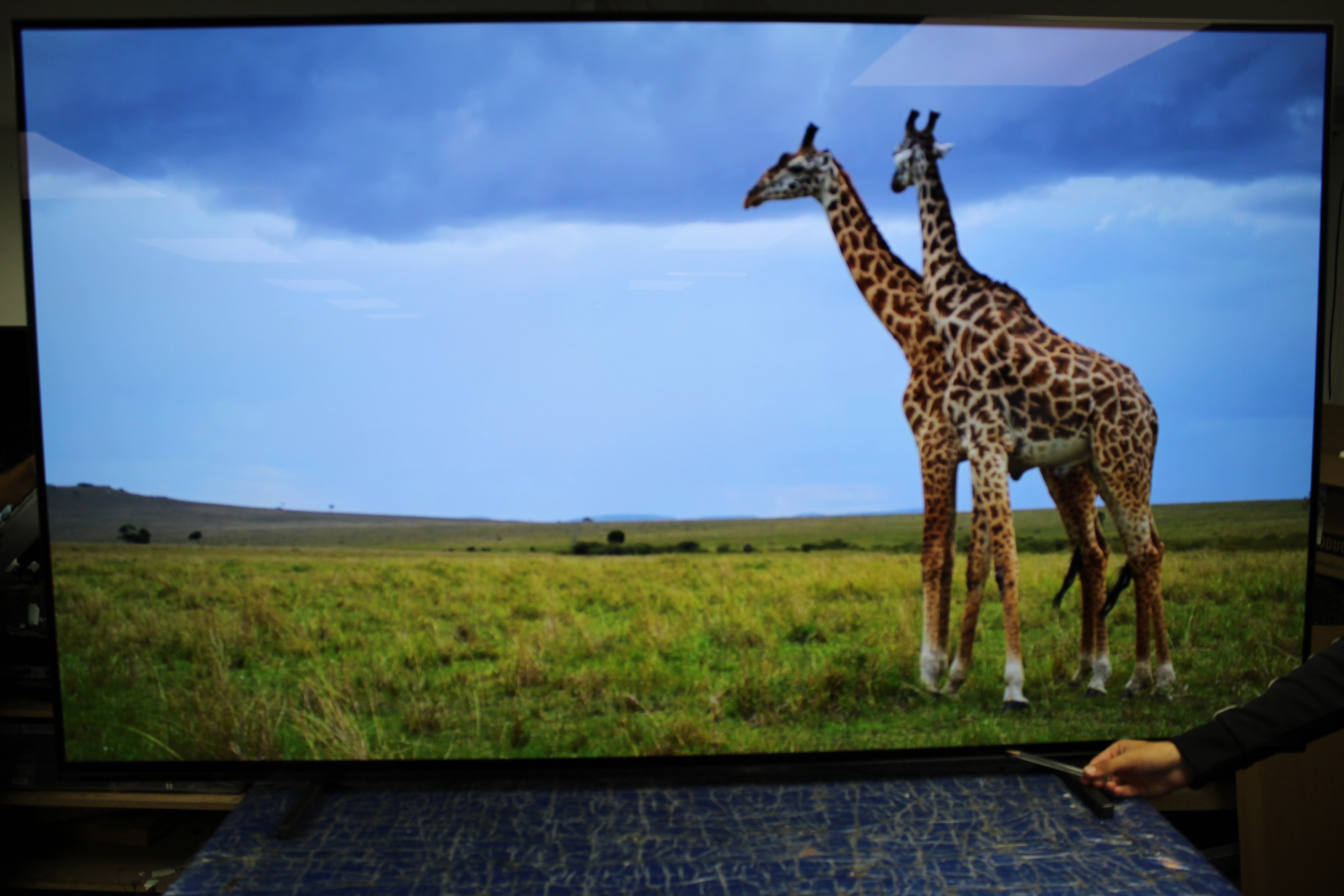 77" Sony Bravia XR77A84JU 4K HDR Google Smart OLED TV - Electronic World TV