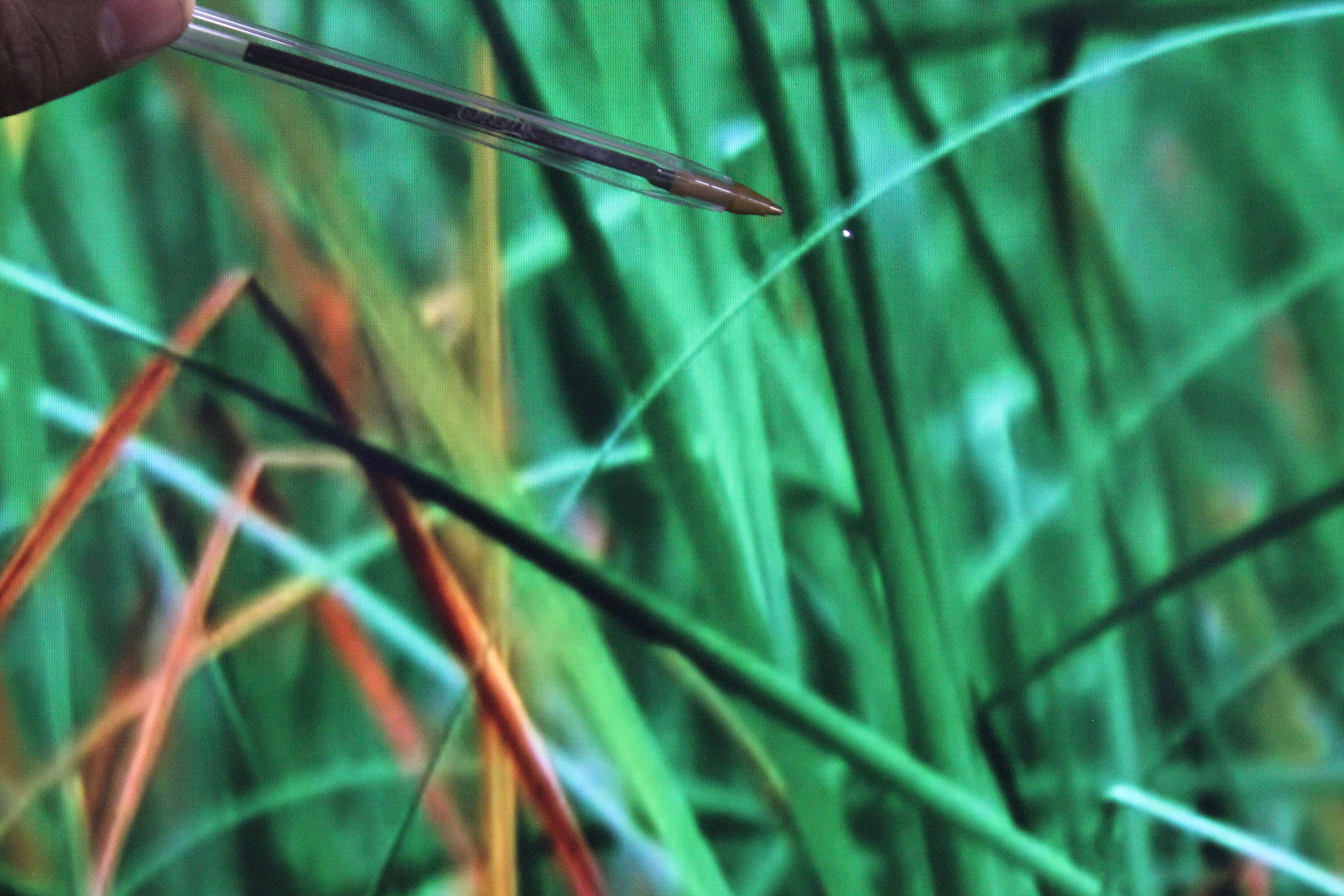 49" Sony KD49XF7596BU 4K HDR Android Smart LED TV - Electronic World TV