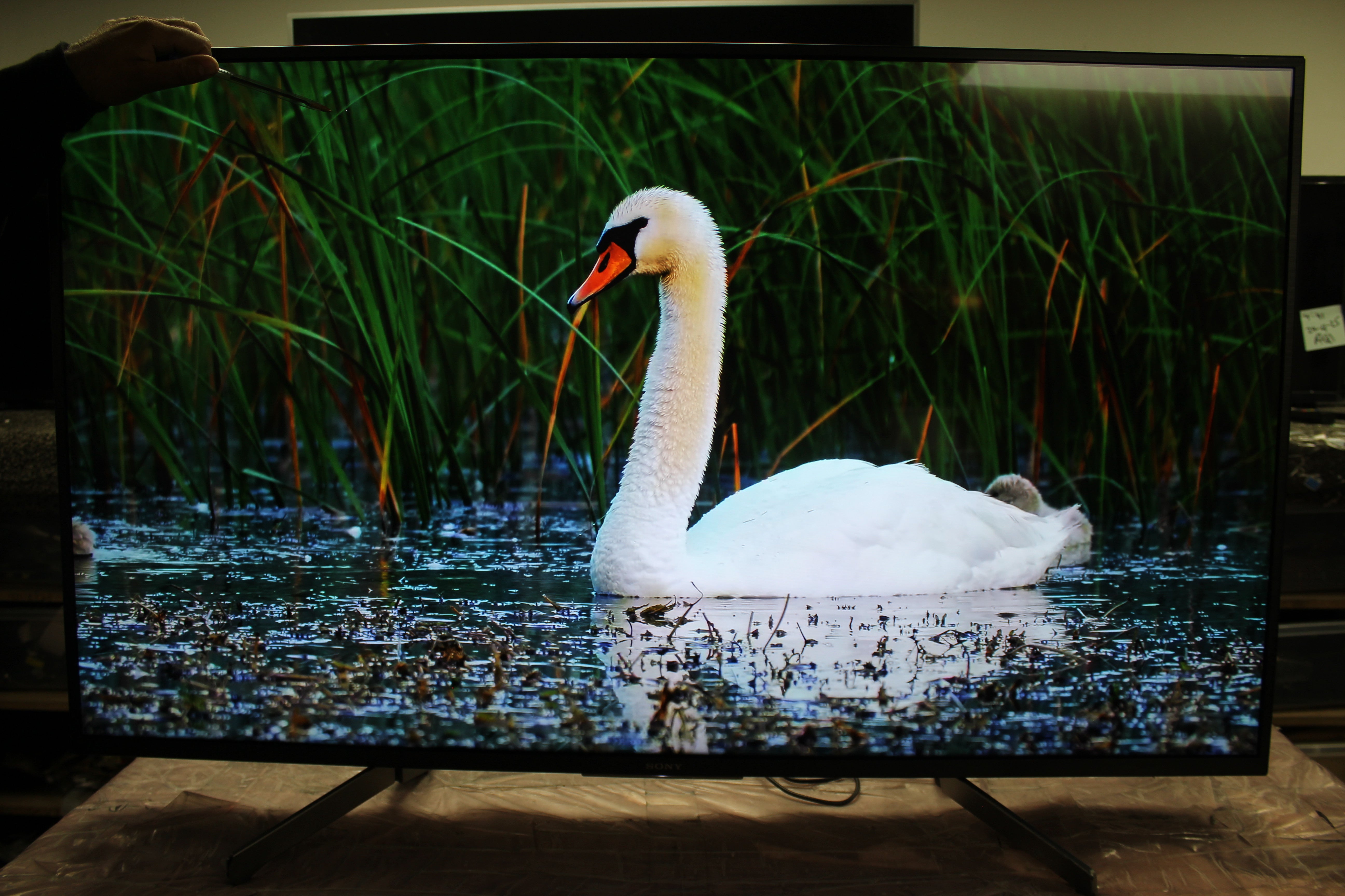 49" Sony KD49XF7596BU 4K HDR Android Smart LED TV - Electronic World TV