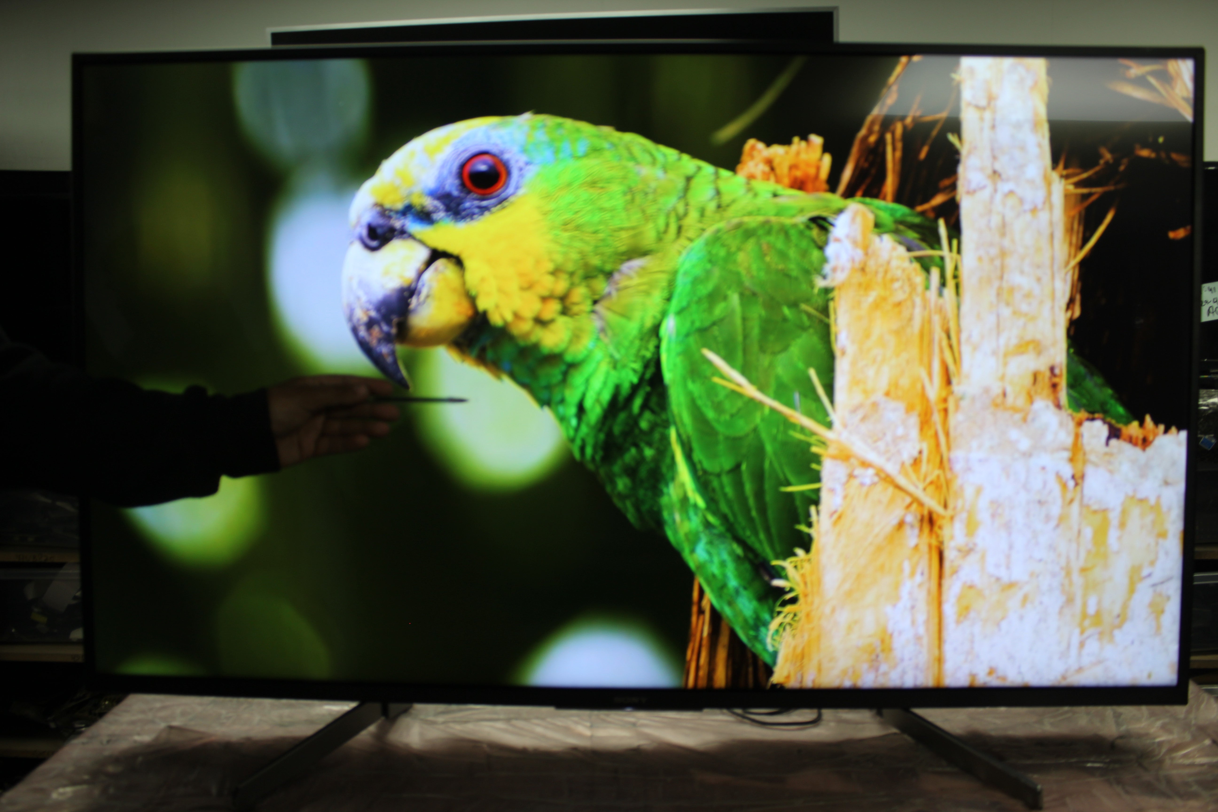 49" Sony KD49XF7596BU 4K HDR Android Smart LED TV - Electronic World TV