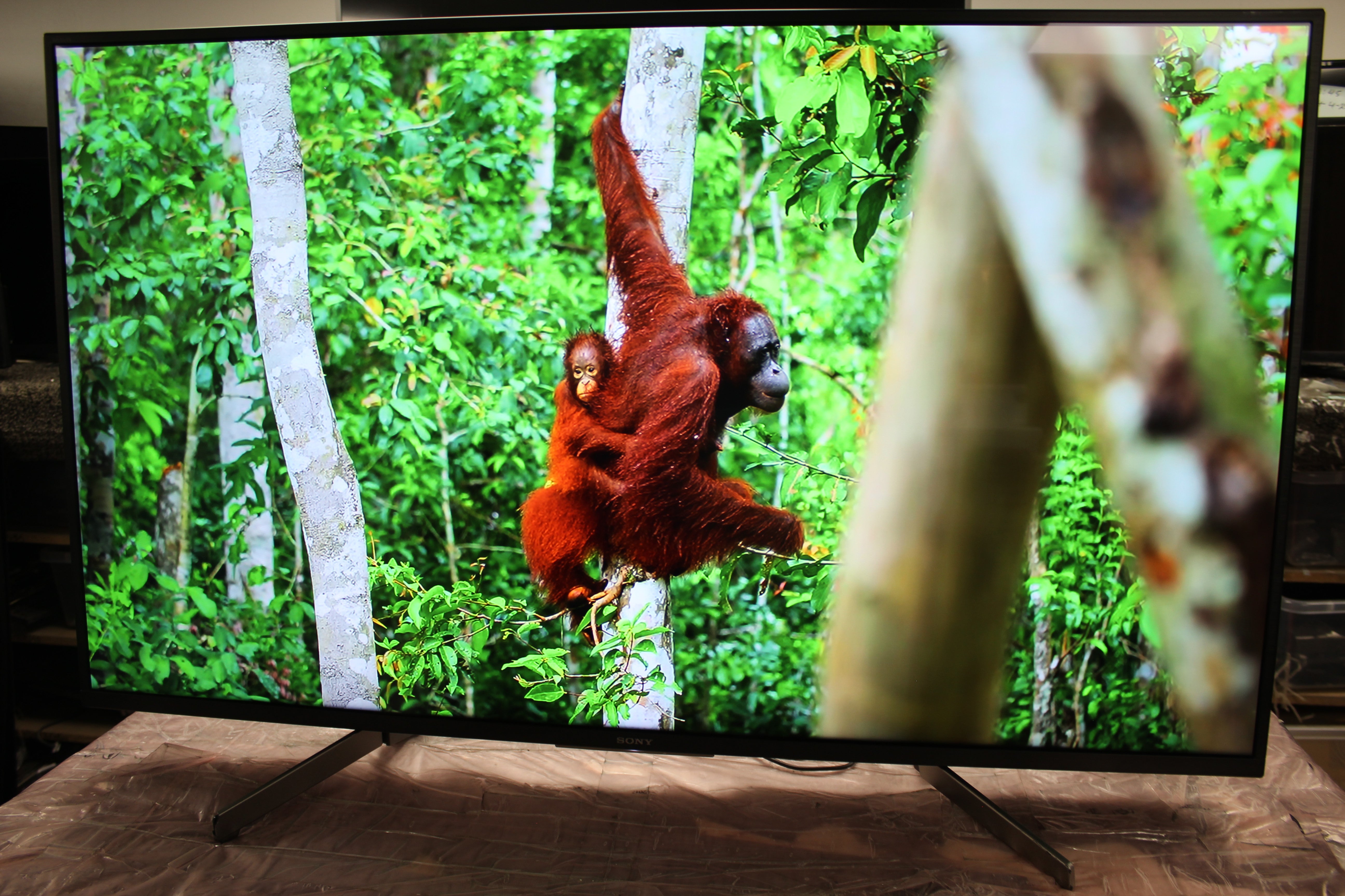 49" Sony KD49XF7596BU 4K HDR Android Smart LED TV - Electronic World TV