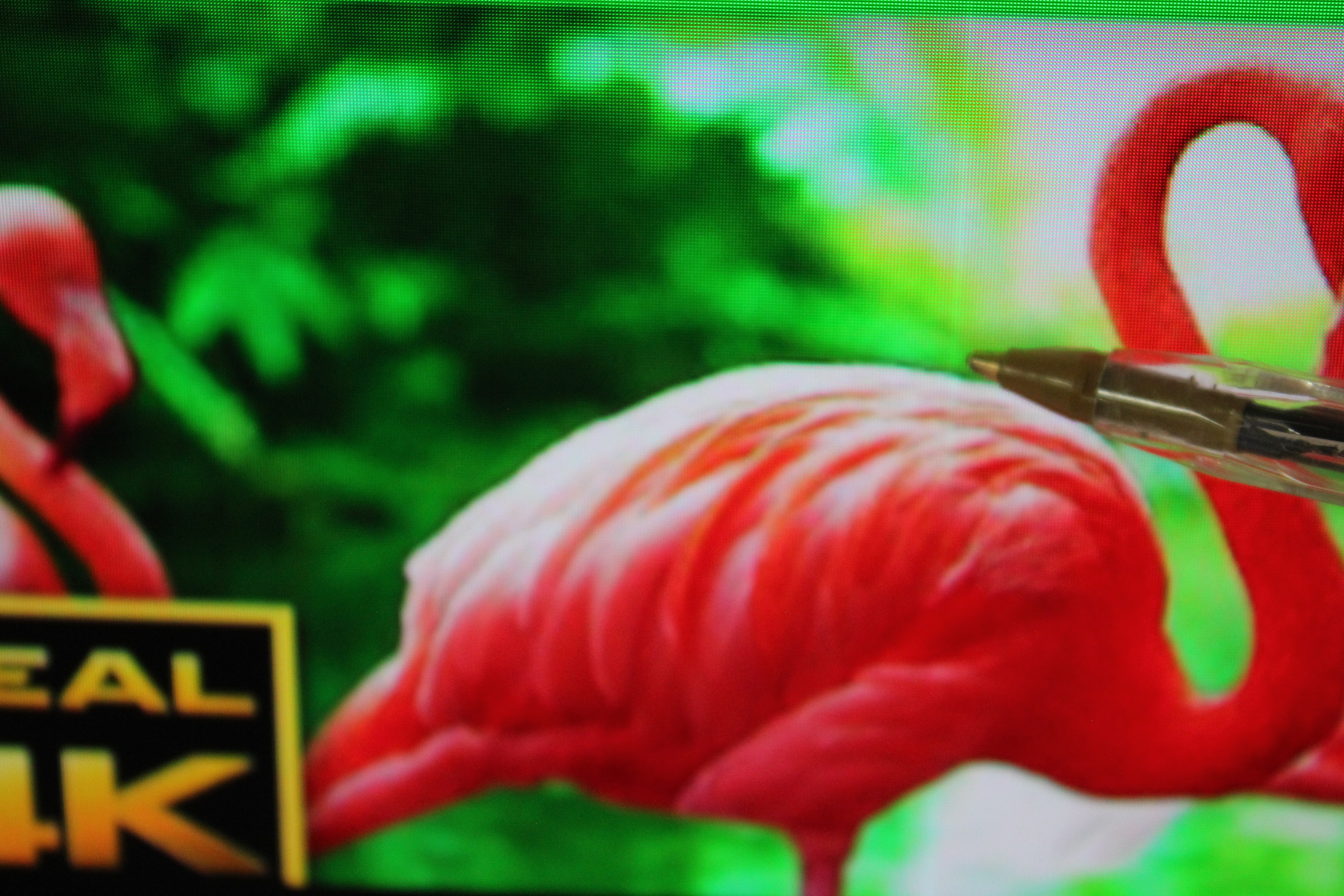 27" Samsung Odyssey LS27DG612SUXXU 4K OLED Gaming Monitor TV - Electronic World TV