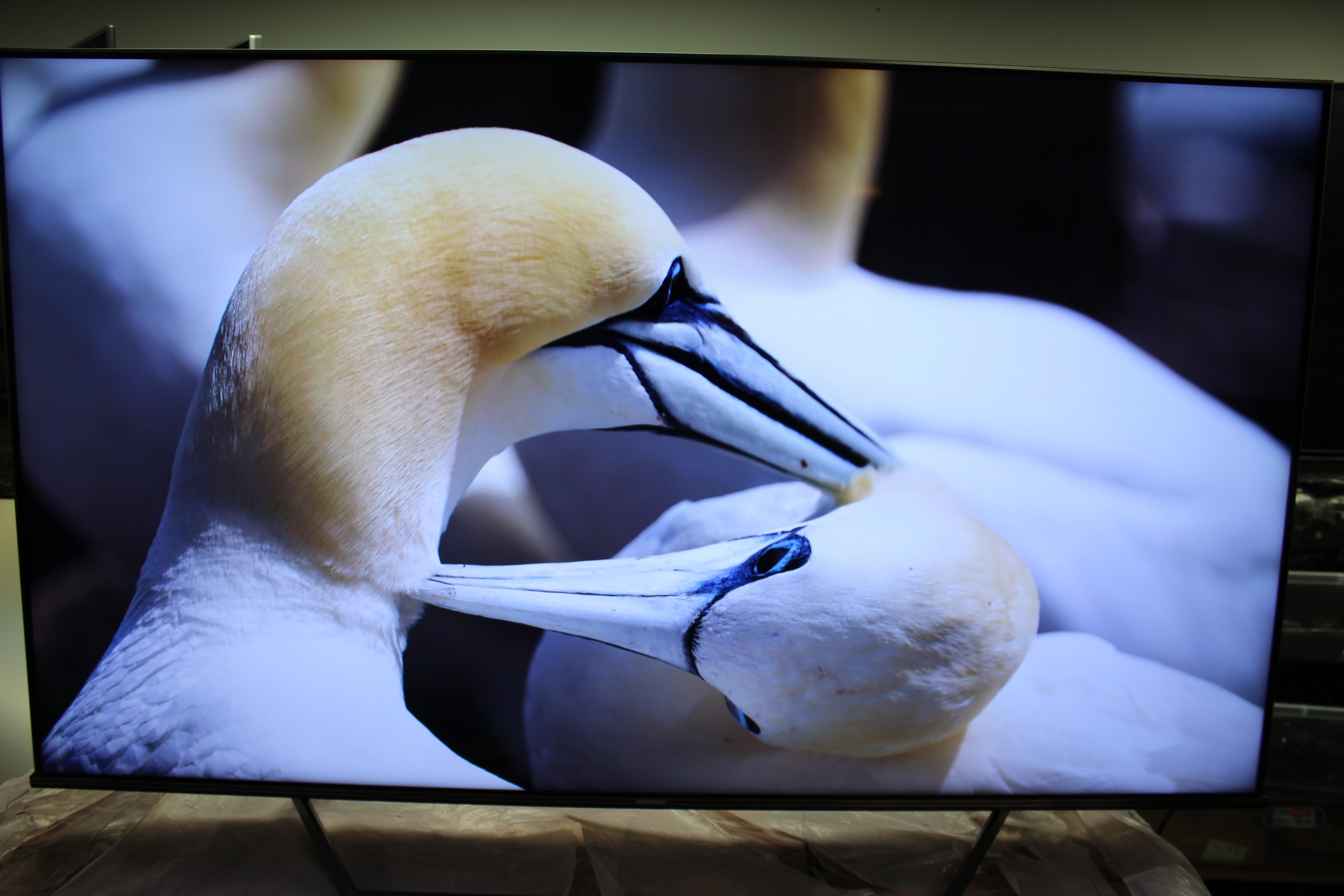 55" Hisense 55U7HQTUK Premium 4K HDR ULED TV - Electronic World TV