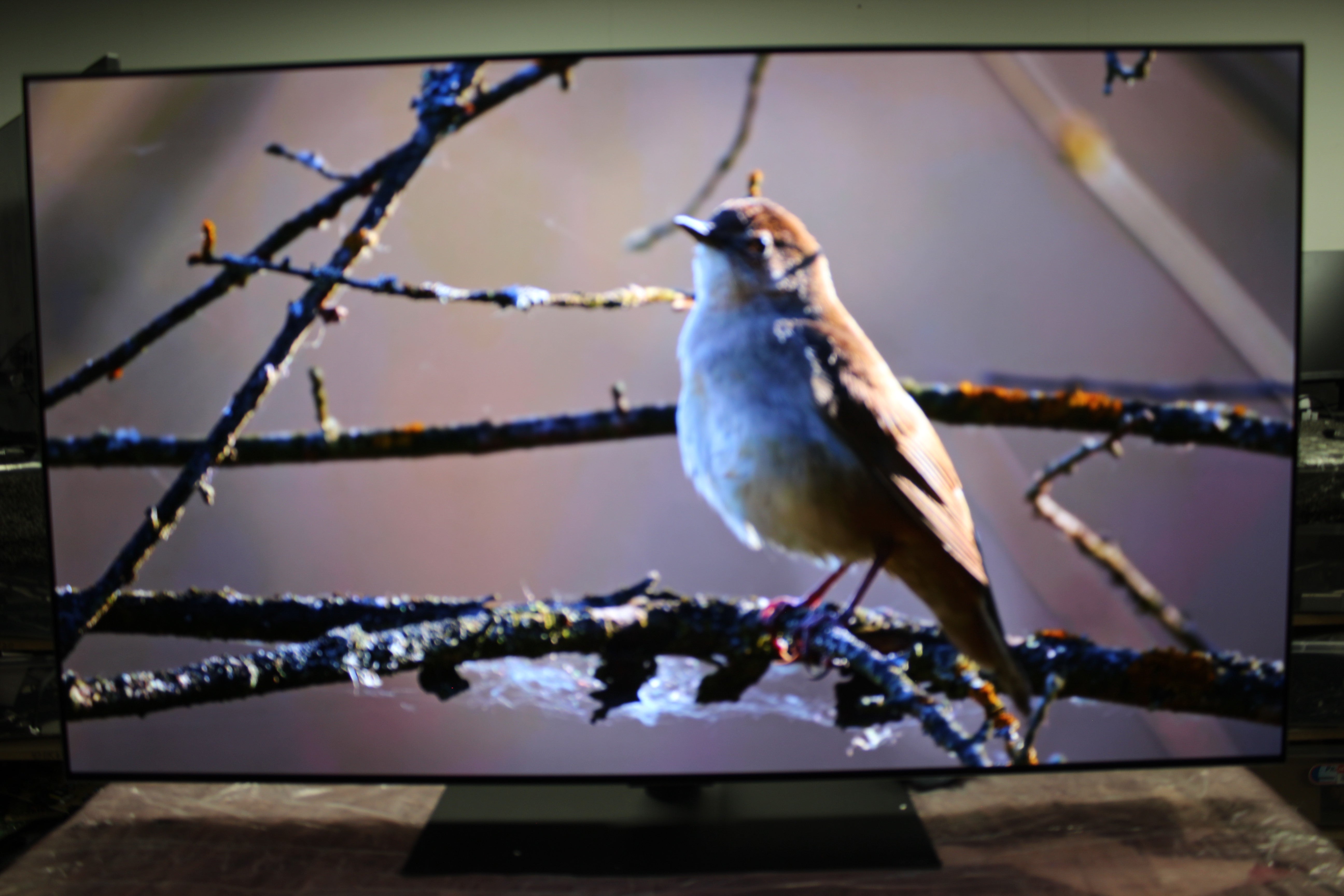 55" LG Evo OLED55G46LS 4K HDR Smart Evo OLED TV - Electronic World TV