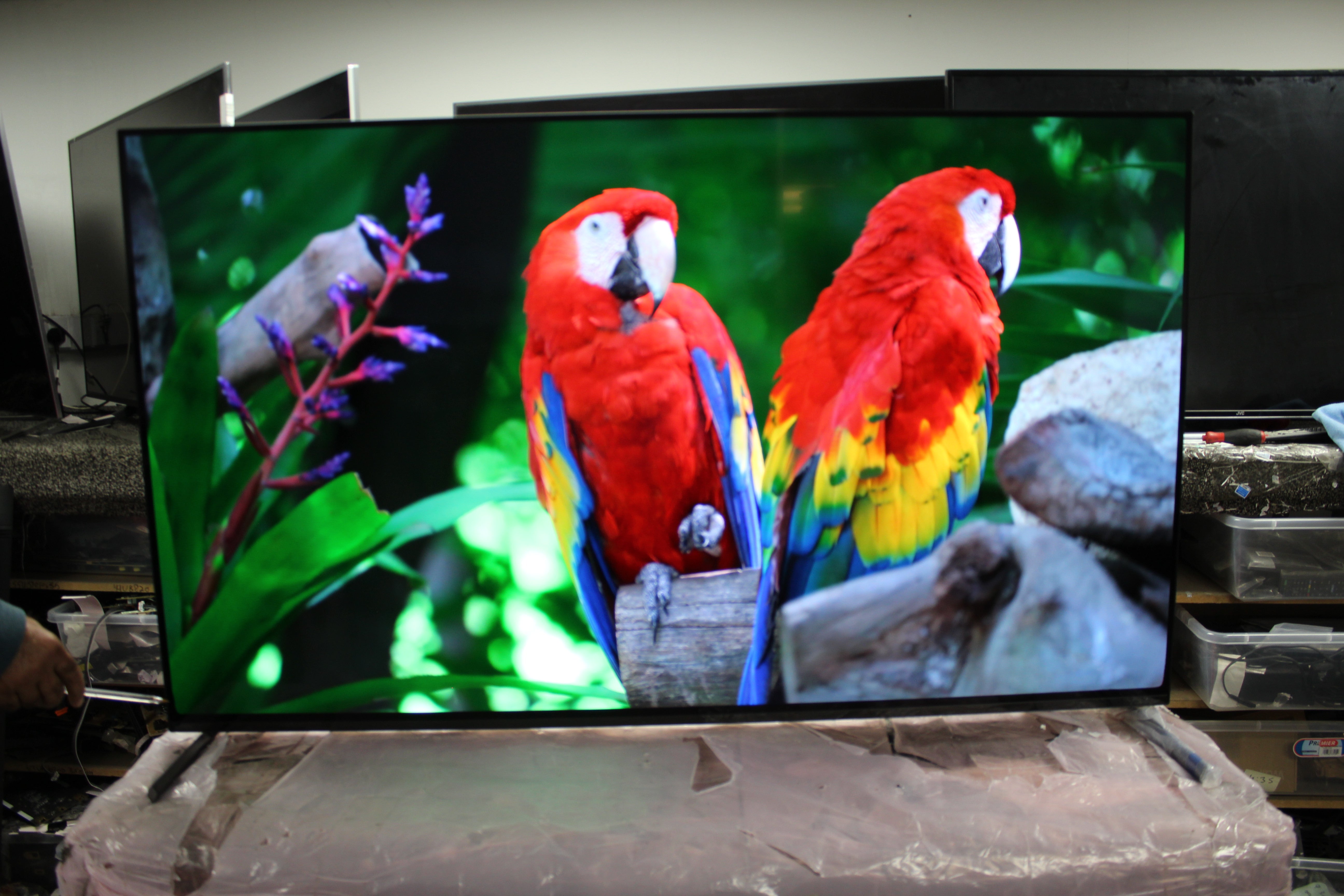 55" Sony Bravia XR55A84KU 4K HDR Google Smart OLED TV - Electronic World TV