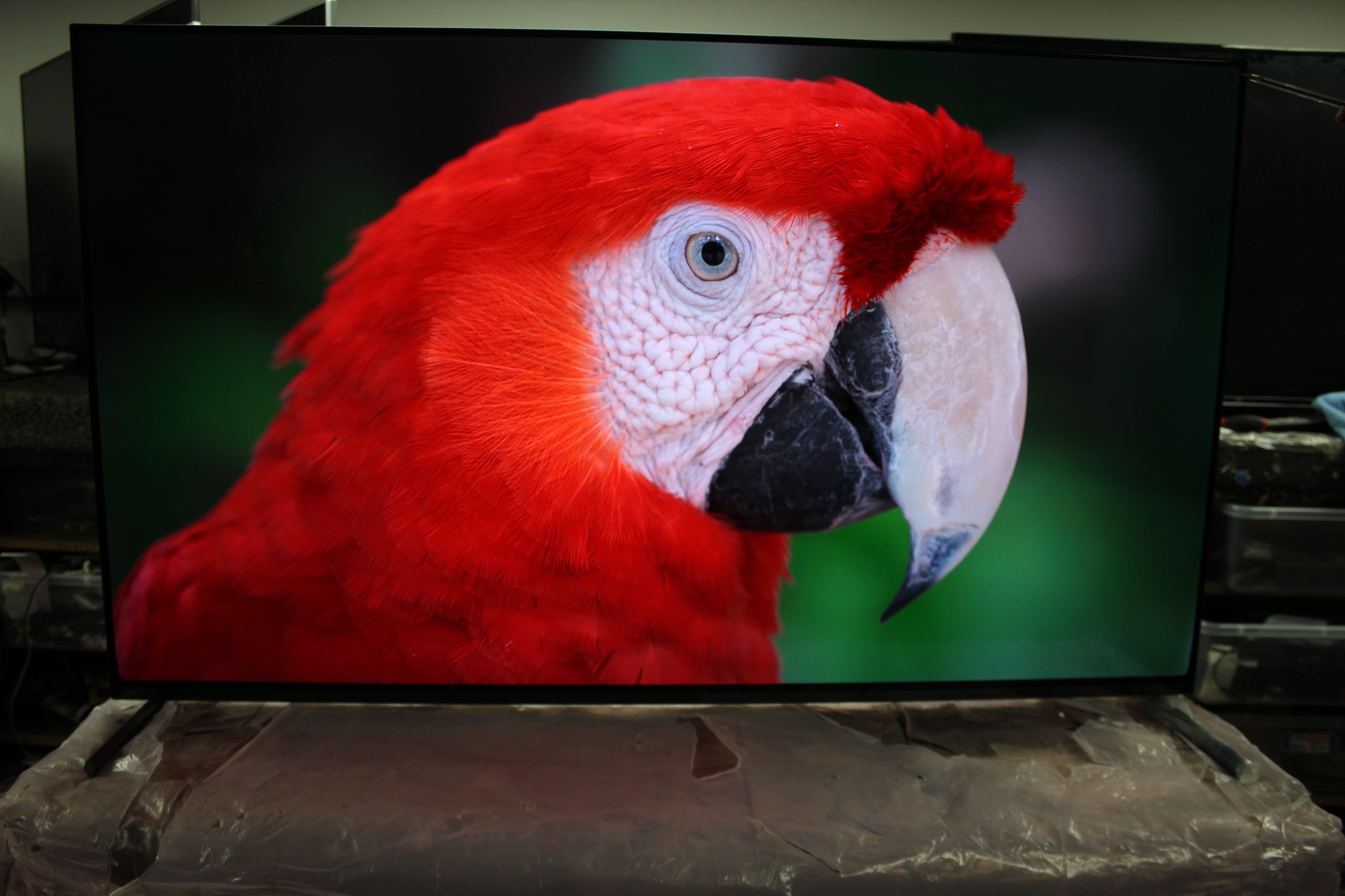 55" Sony Bravia XR55A84KU 4K HDR Google Smart OLED TV - Electronic World TV