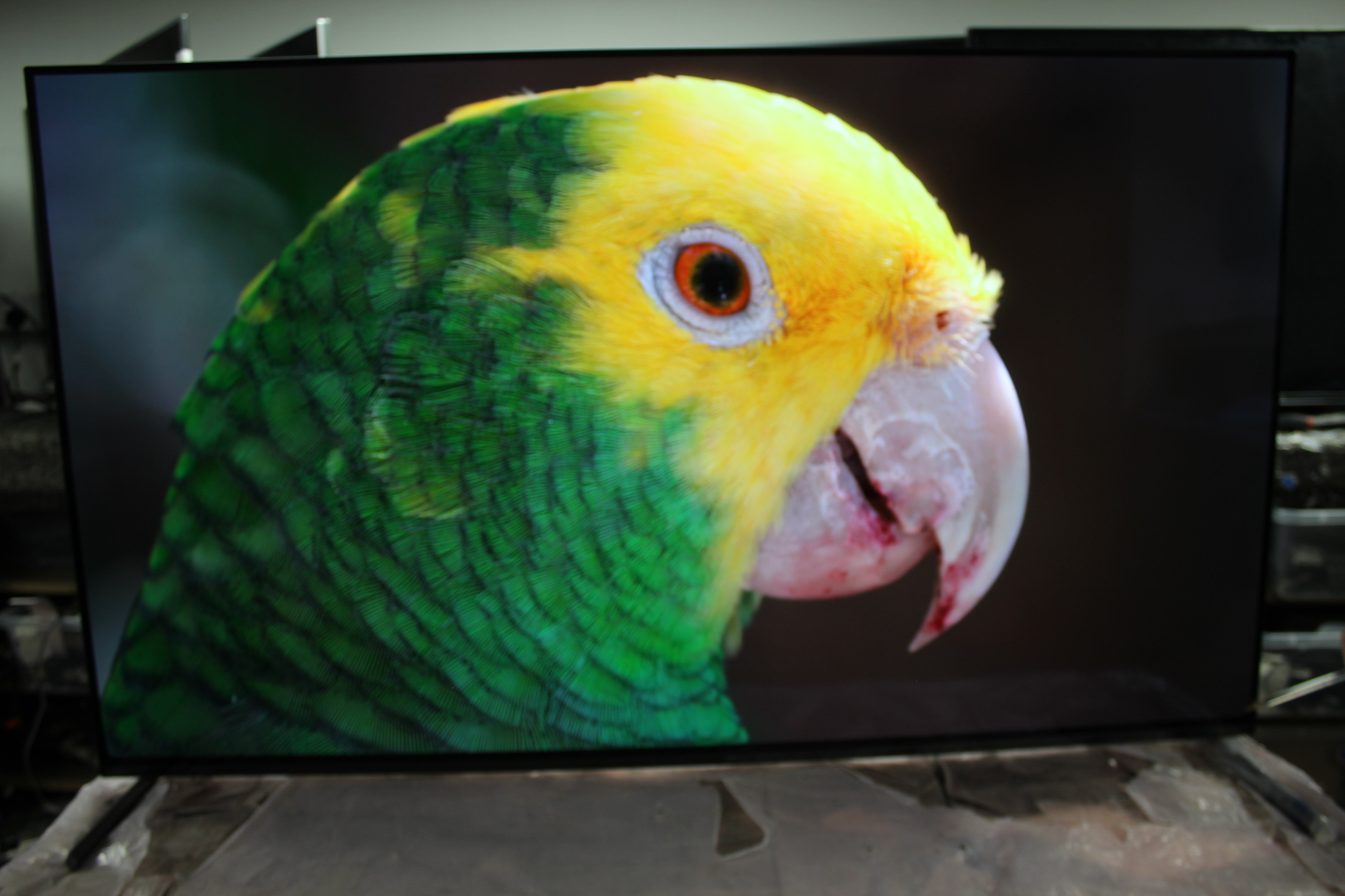 55" Sony Bravia XR55A84KU 4K HDR Google Smart OLED TV - Electronic World TV