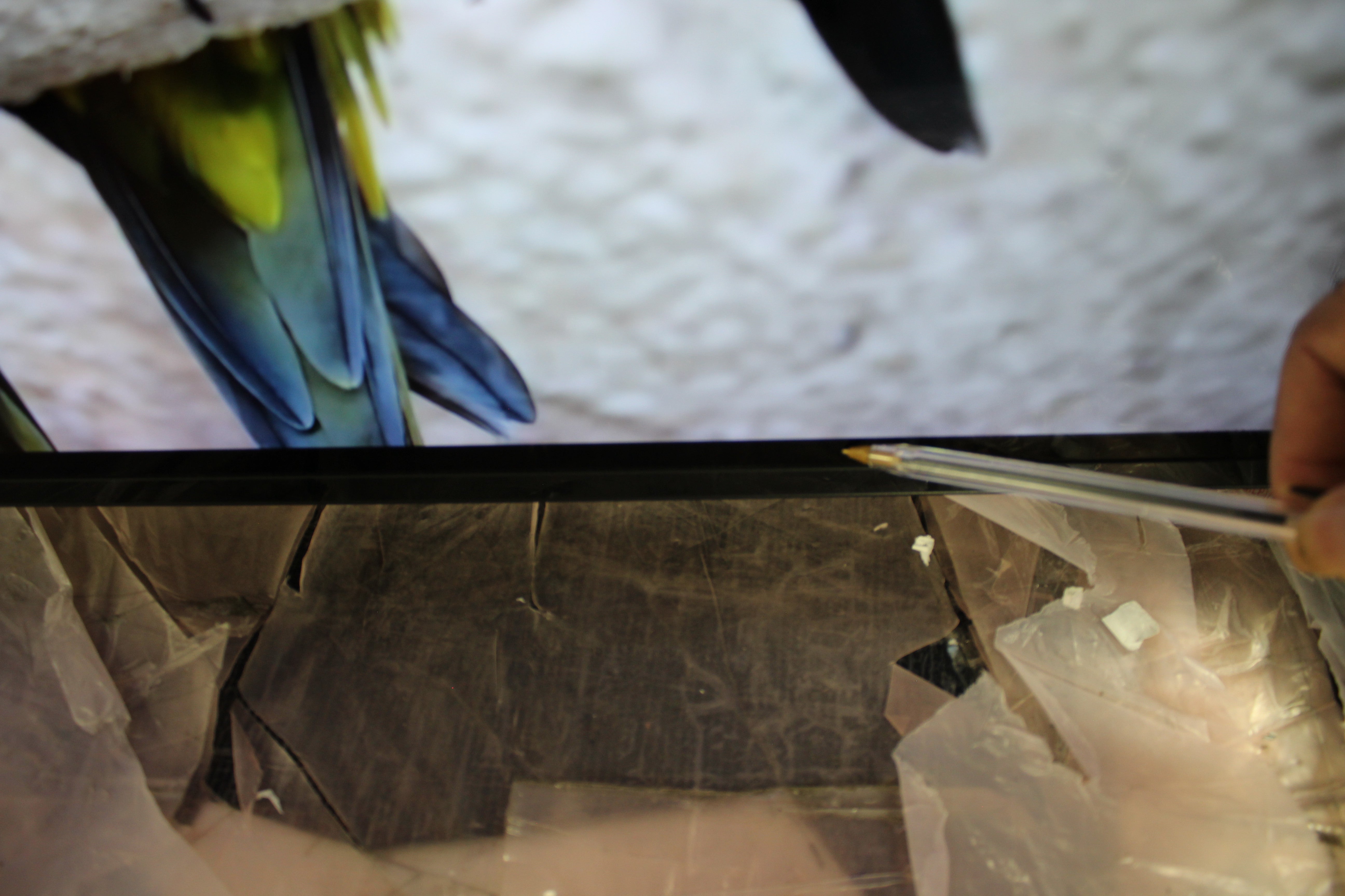 55" Sony Bravia XR55A84KU 4K HDR Google Smart OLED TV - Electronic World TV