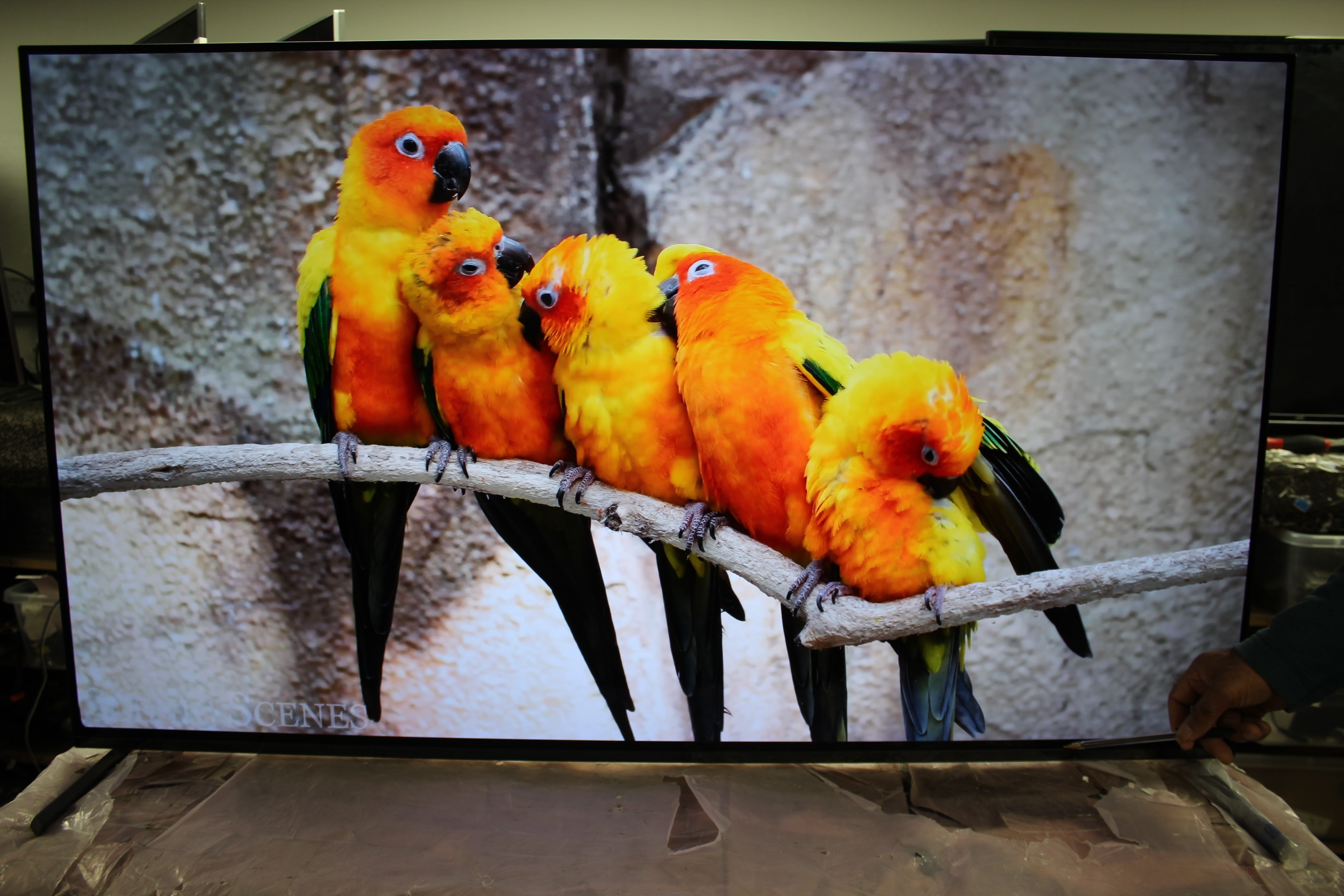 55" Sony Bravia XR55A84KU 4K HDR Google Smart OLED TV - Electronic World TV