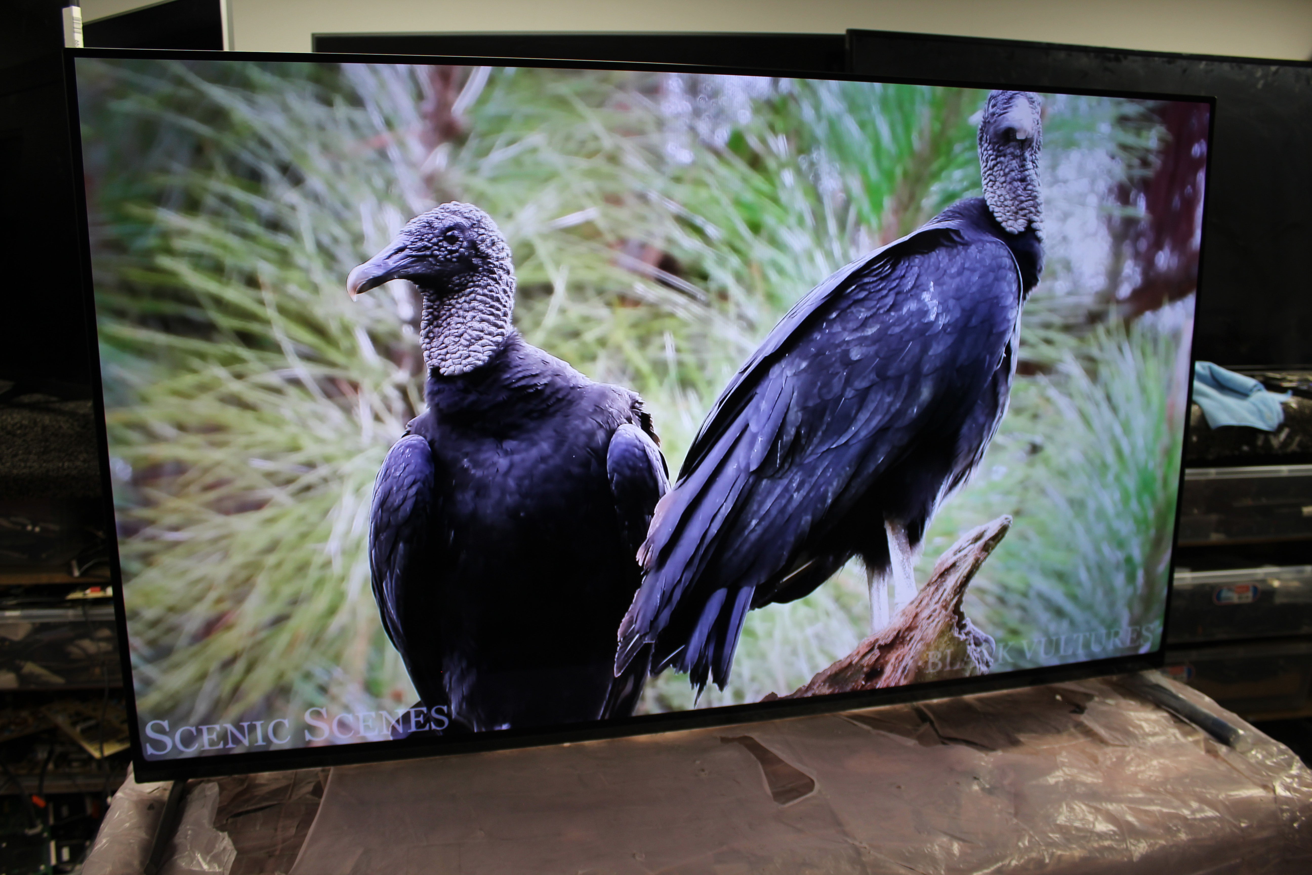 55" Sony Bravia XR55A84KU 4K HDR Google Smart OLED TV - Electronic World TV