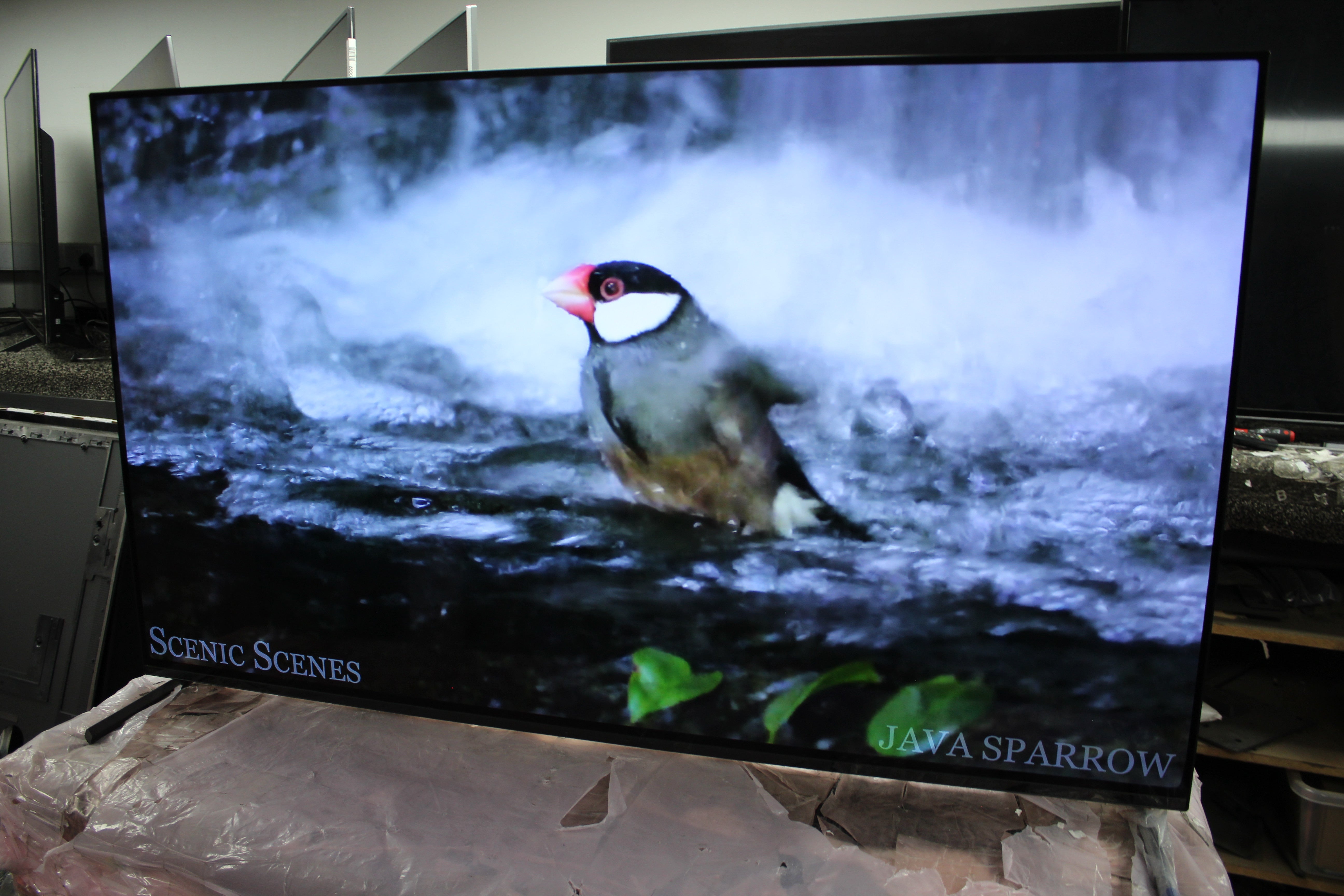 55" Sony Bravia XR55A84KU 4K HDR Google Smart OLED TV - Electronic World TV