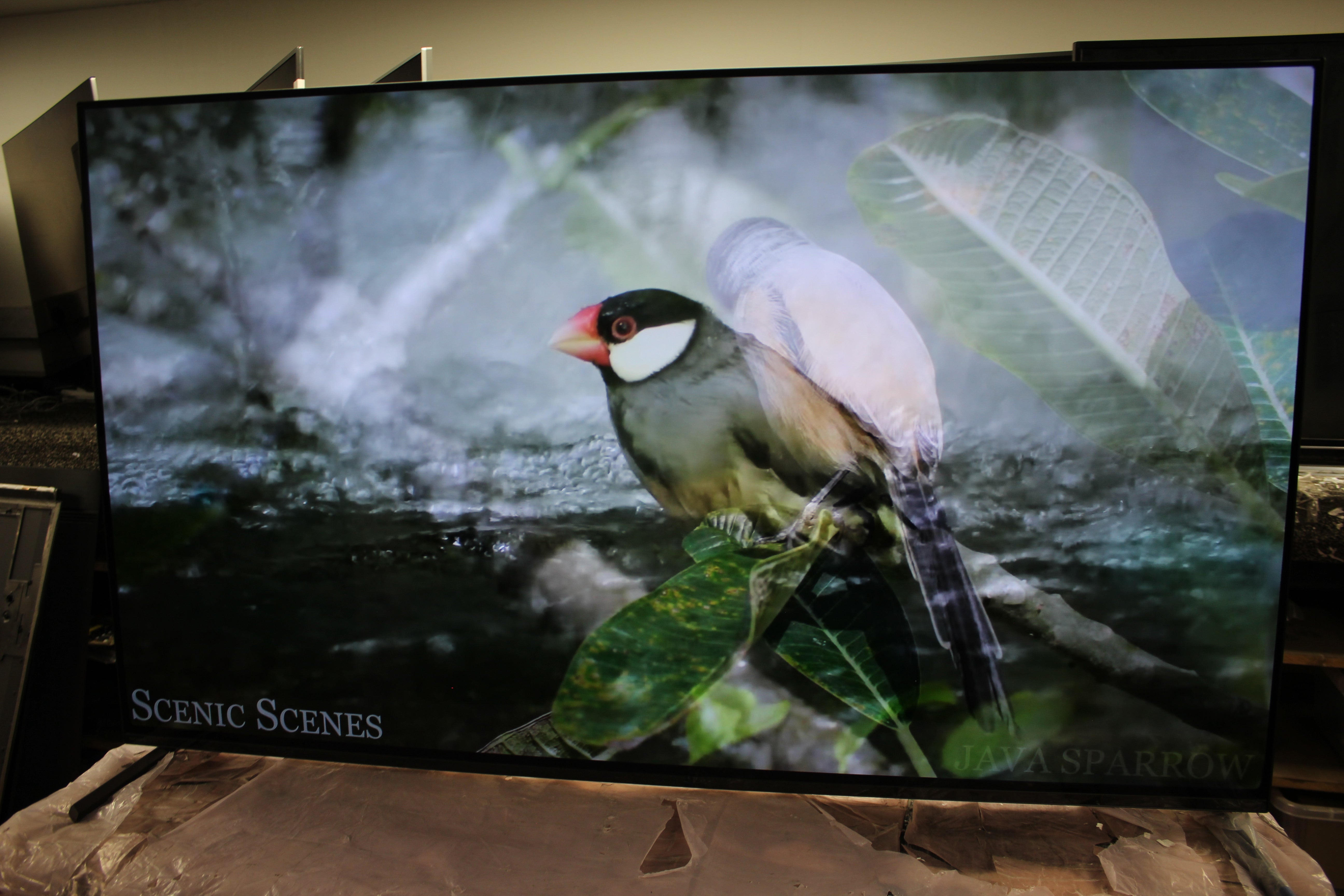 55" Sony Bravia XR55A84KU 4K HDR Google Smart OLED TV - Electronic World TV