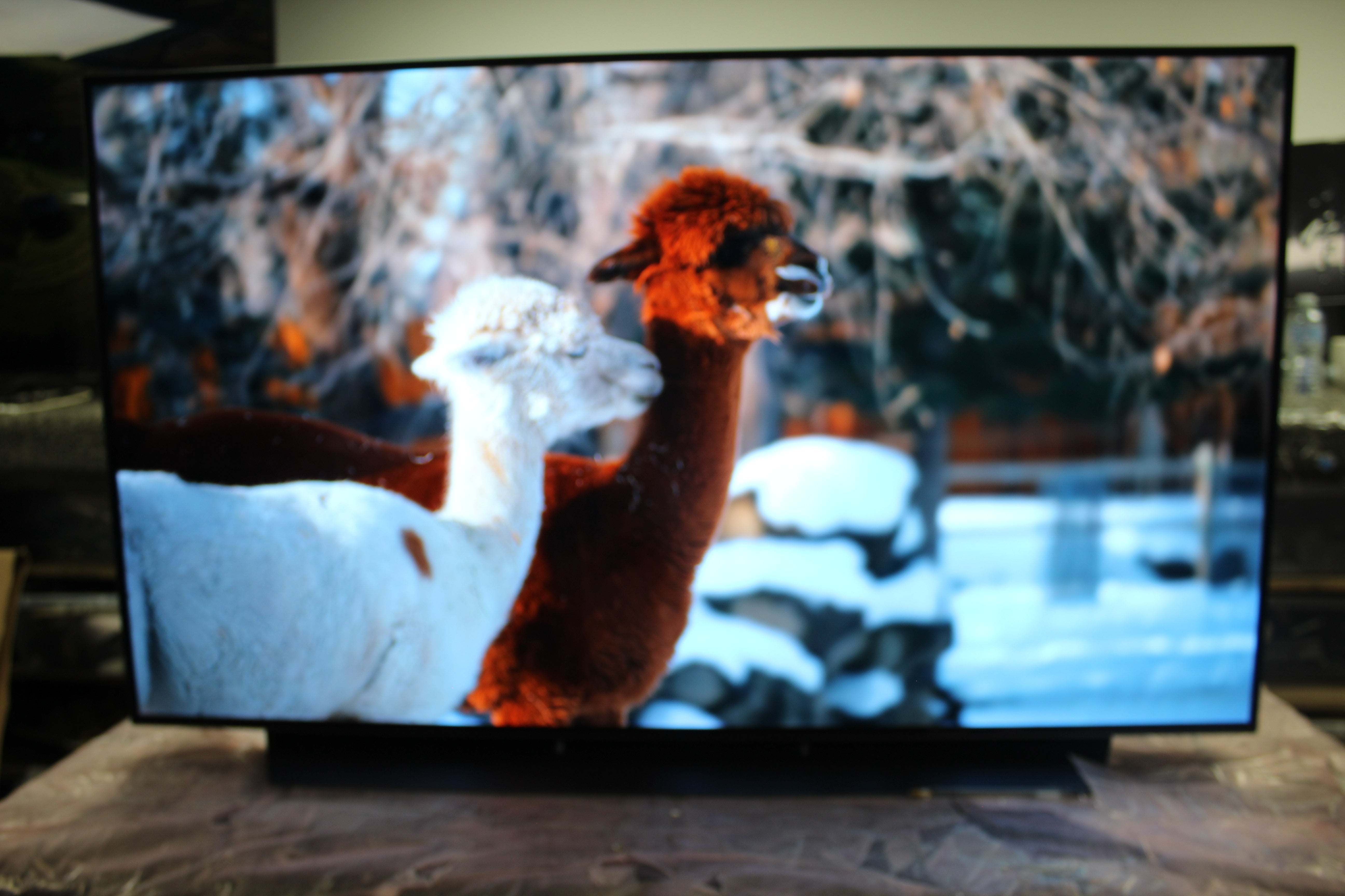 48" LG OLED48CX6LA 4K HDR Smart OLED TV - Electronic World TV