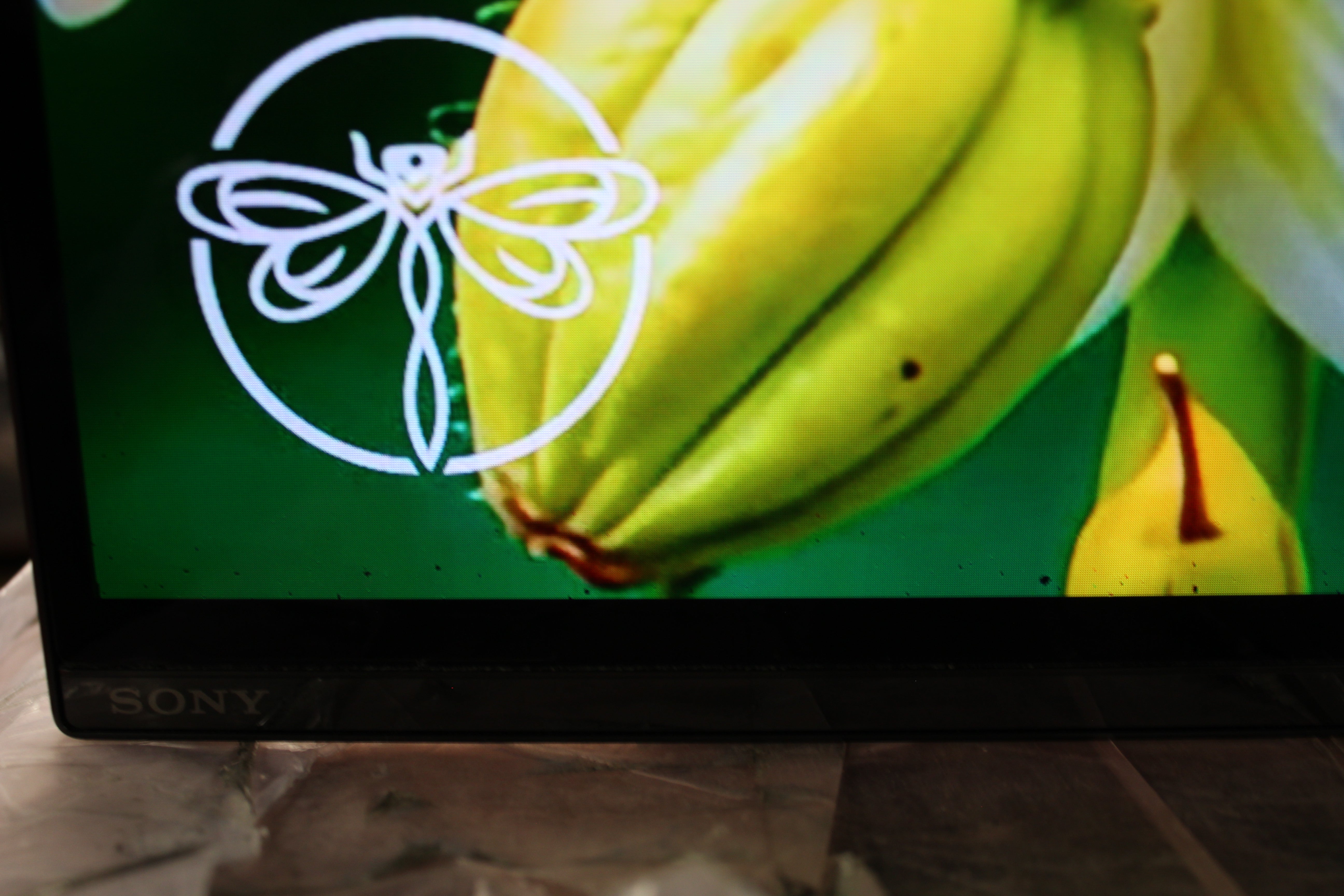 55" Sony KD55AG9BU Master Series 4K HDR Android Smart OLED TV - Electronic World TV