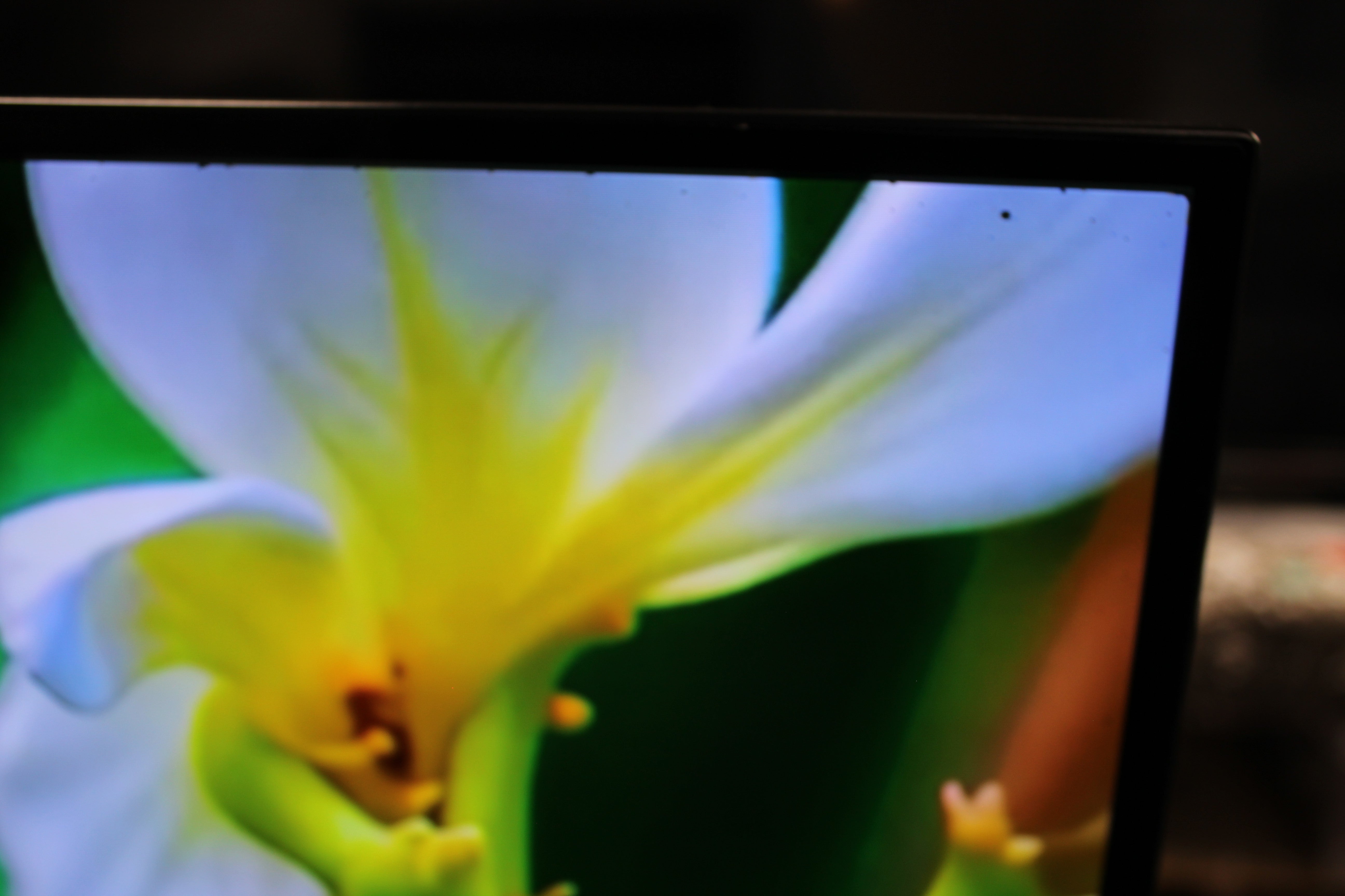 55" Sony KD55AG9BU Master Series 4K HDR Android Smart OLED TV - Electronic World TV