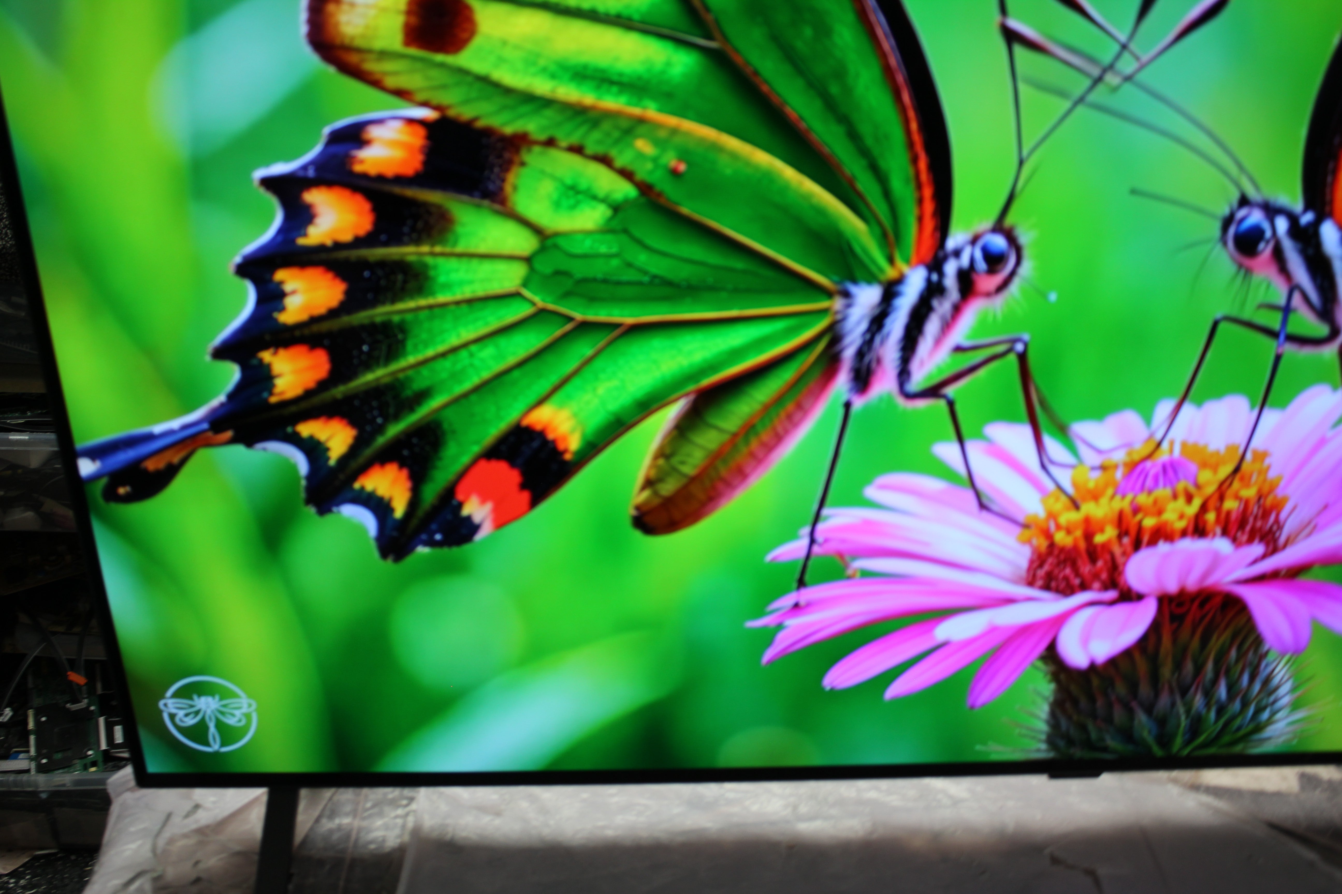 55" LG OLED55B46LA 4K HDR Smart OLED TV - Electronic World TV