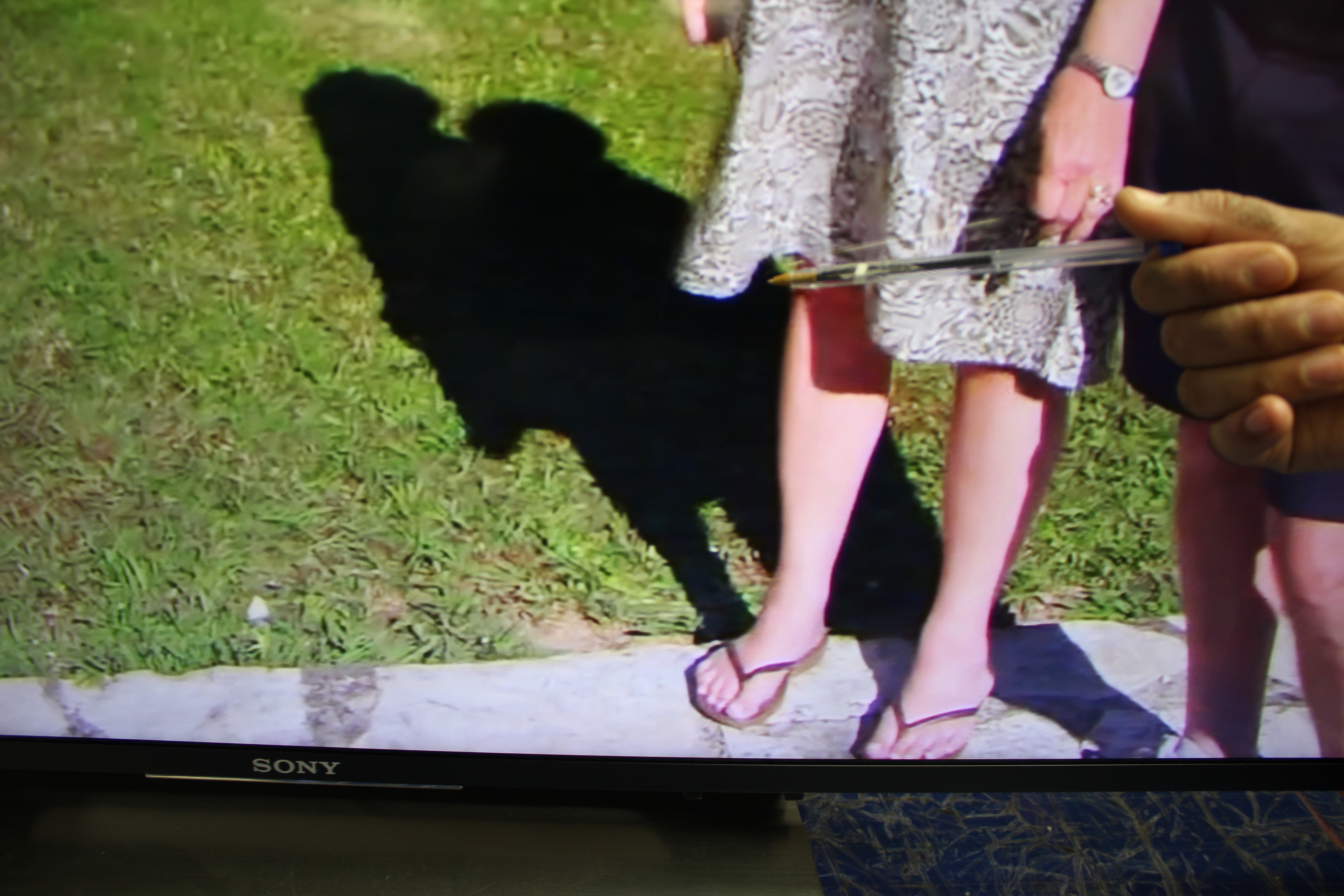 65" Sony KD65XE7002BU 4K Ultra HD HDR Smart LED TV - Electronic World TV