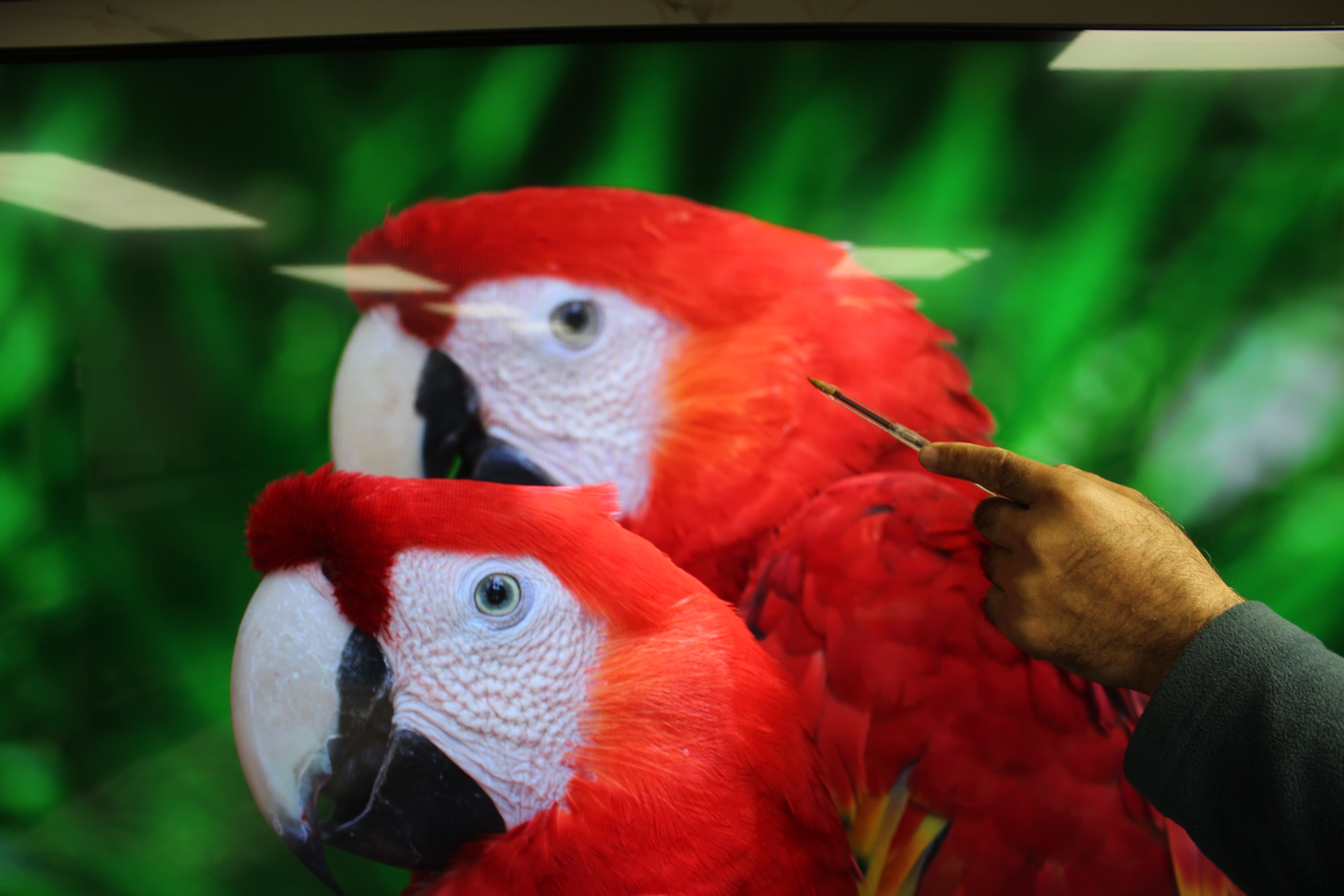 65" Sony Bravia KD-65X85KU 4K HDR Google LED TV - Electronic World TV