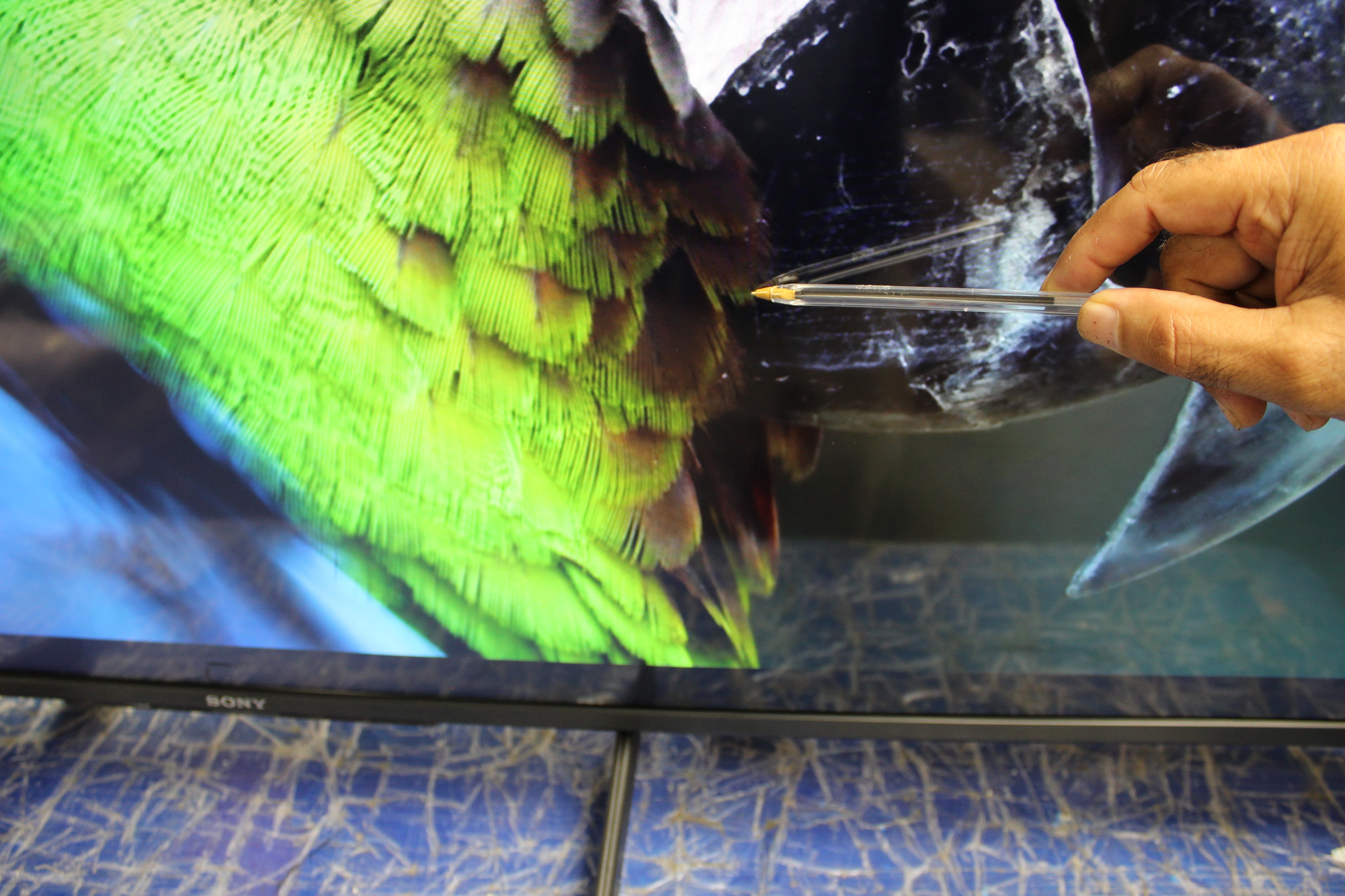 65" Sony Bravia KD65X80JU 4K HDR LED Google TV - Electronic World TV