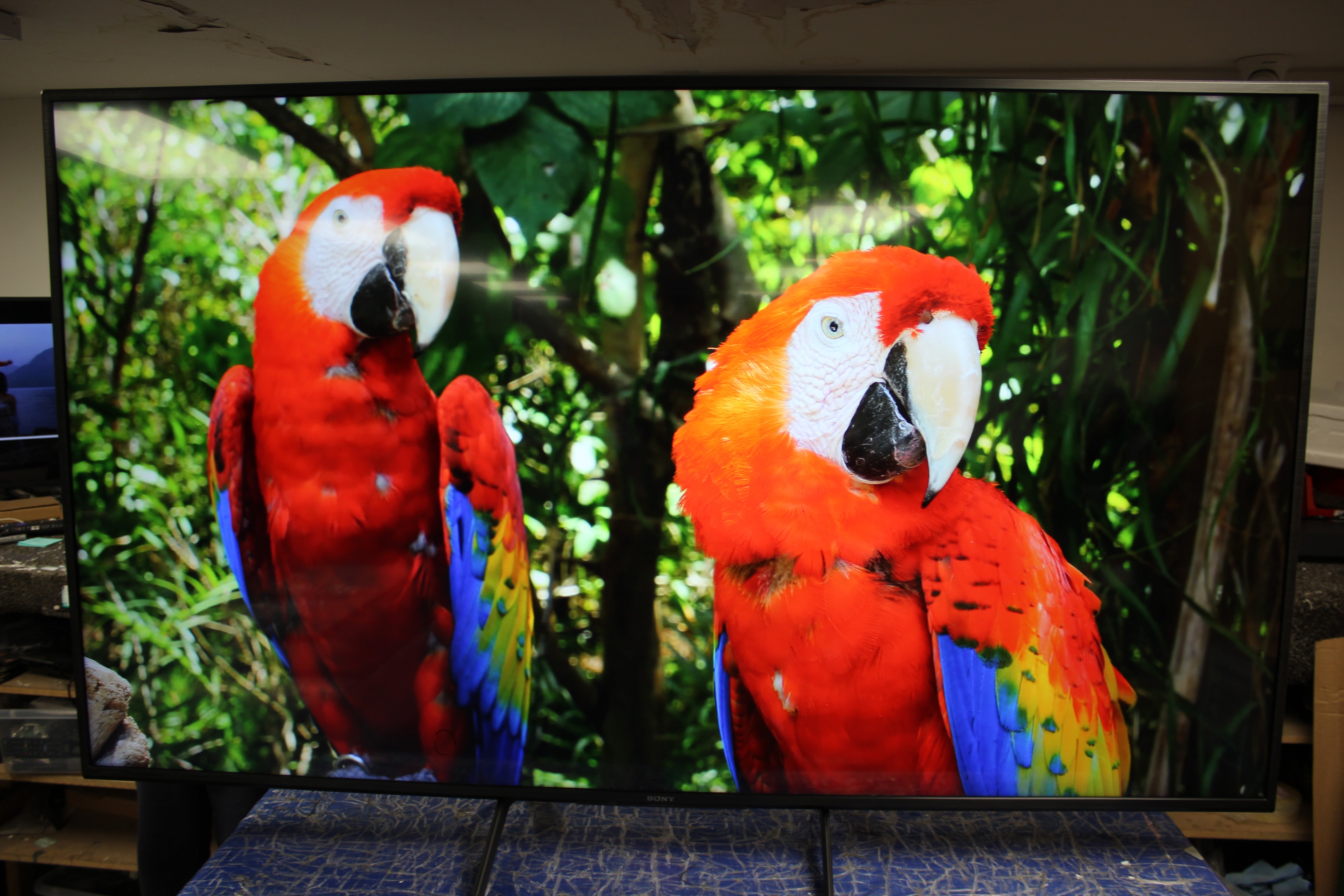 65" Sony Bravia KD65X80JU 4K HDR LED Google TV - Electronic World TV