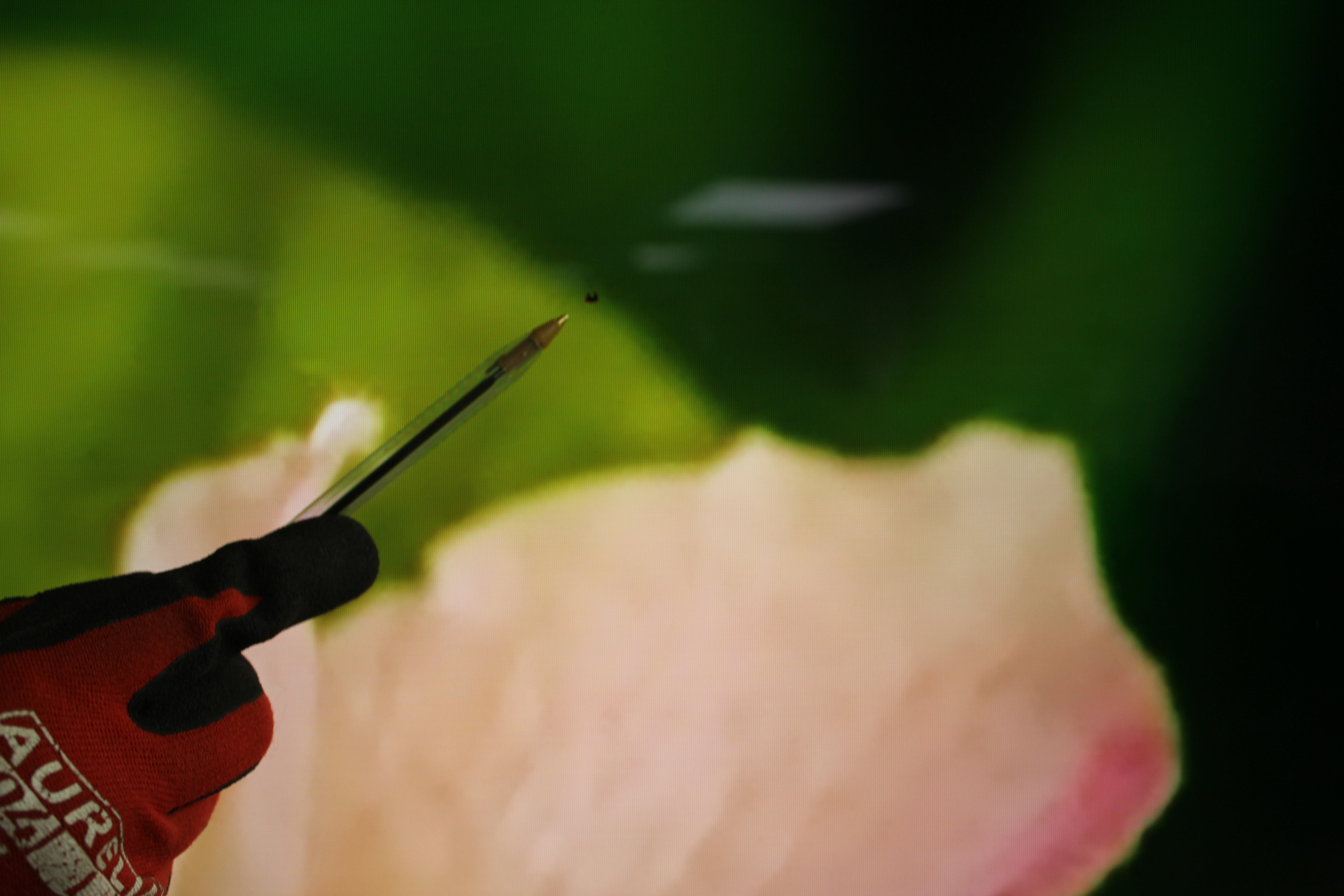 83" Sony Bravia XR83A90JU Flagship 4K HDR Google Smart OLED TV - Electronic World TV