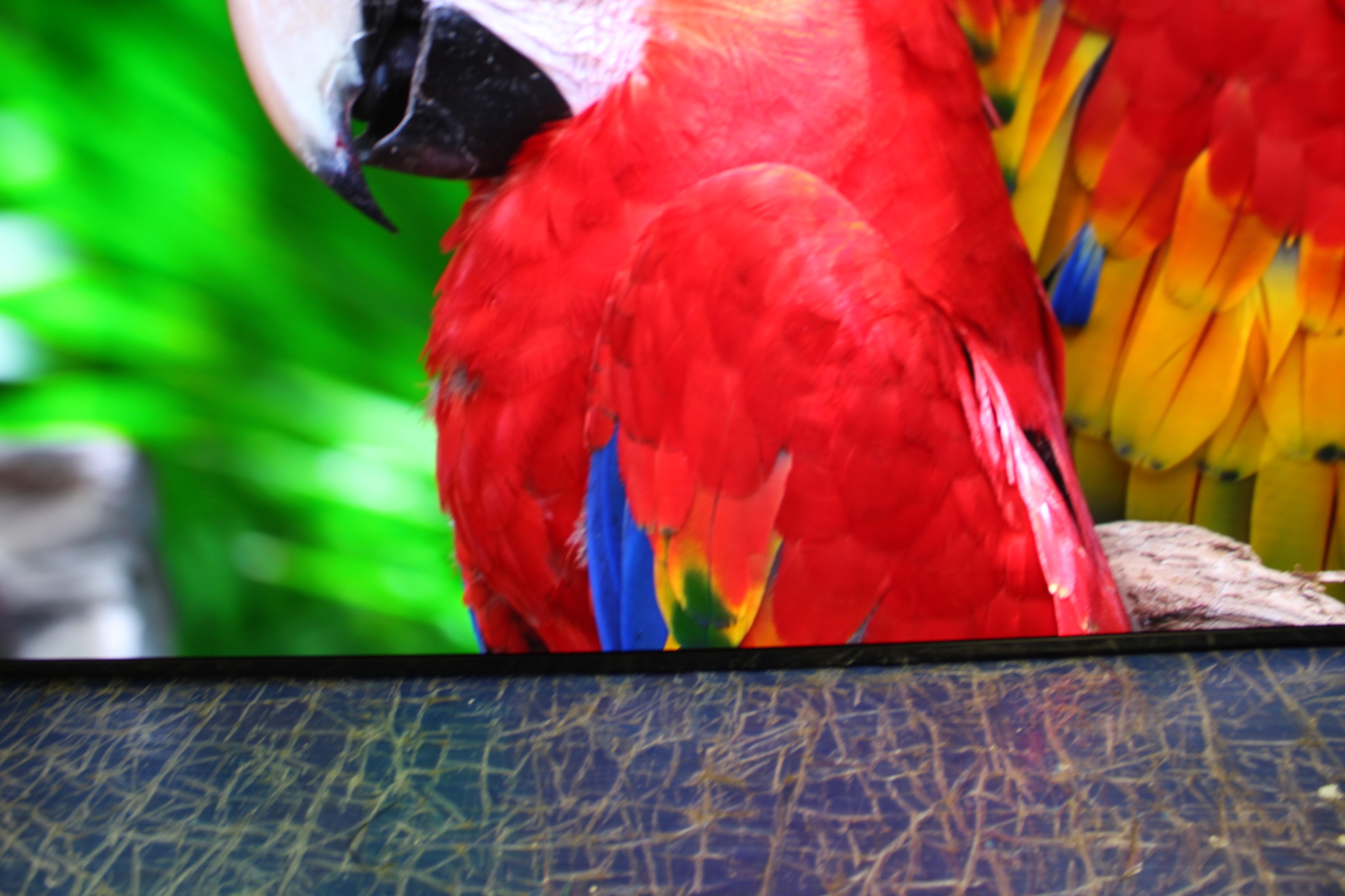 65" Sony Bravia XR65A95LU 4K HDR Google Smart OLED TV - Electronic World TV