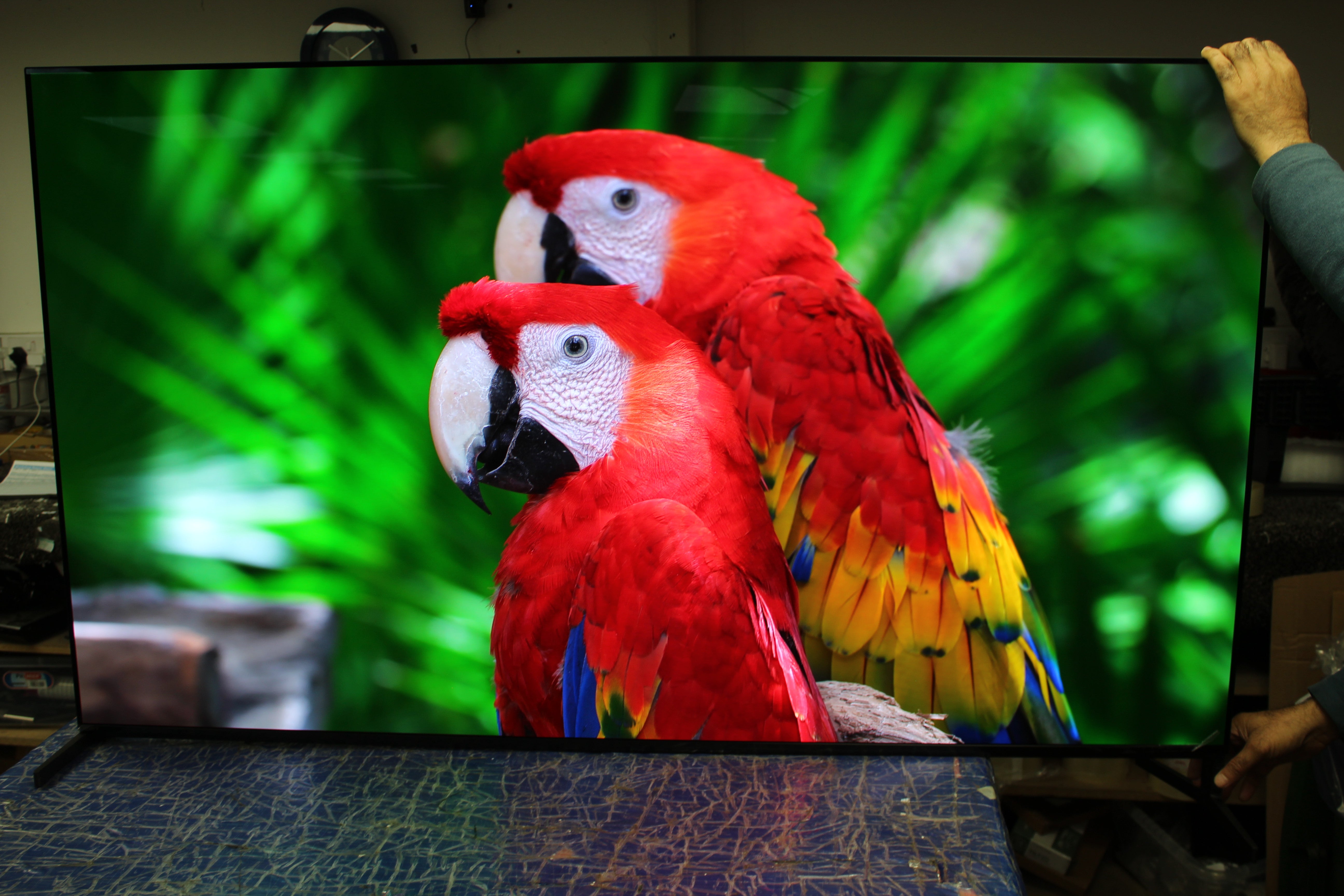 65" Sony Bravia XR65A95LU 4K HDR Google Smart OLED TV - Electronic World TV