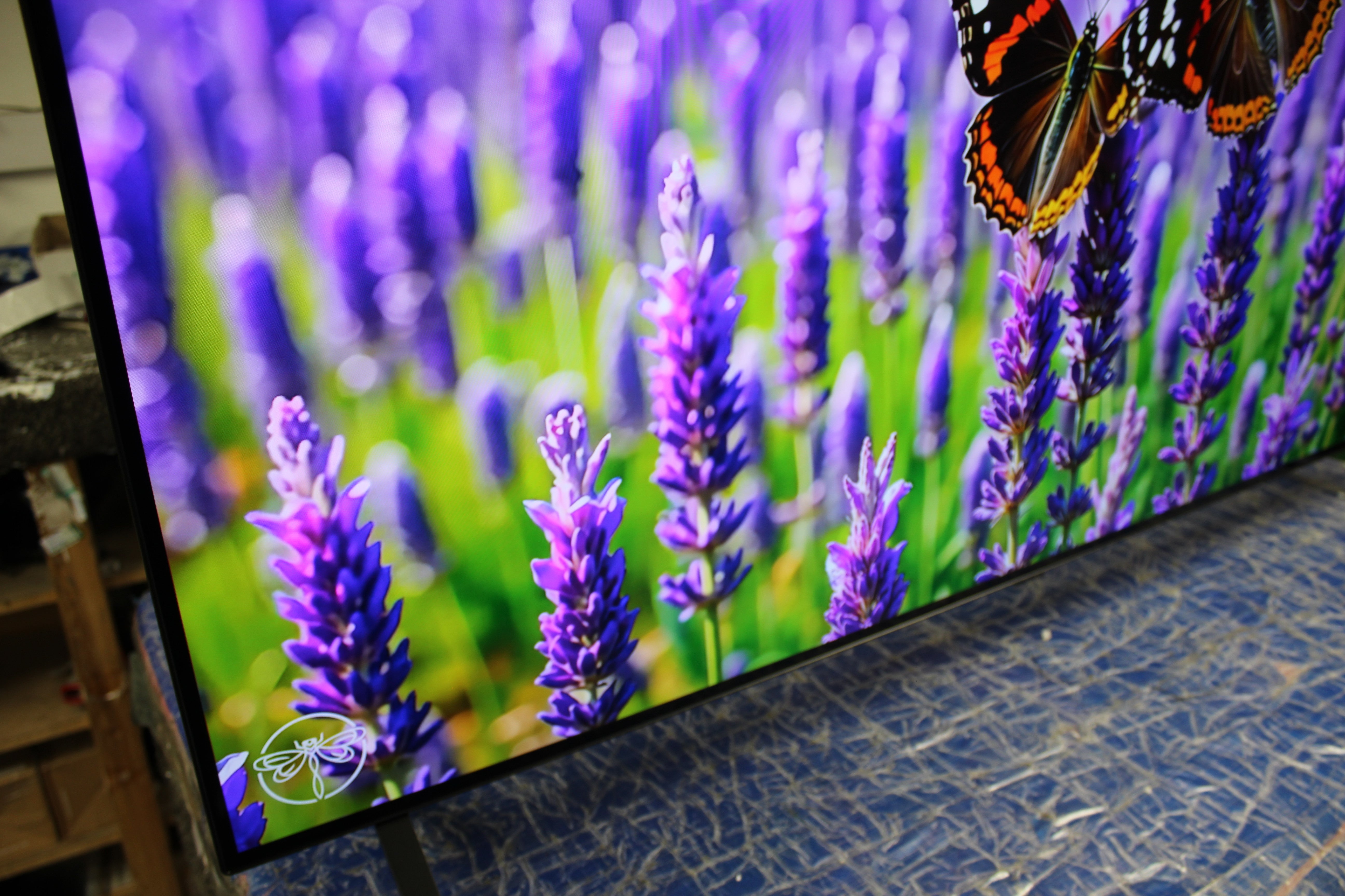 55" LG Evo OLED55B42LA 4K HDR Smart OLED TV - Electronic World TV