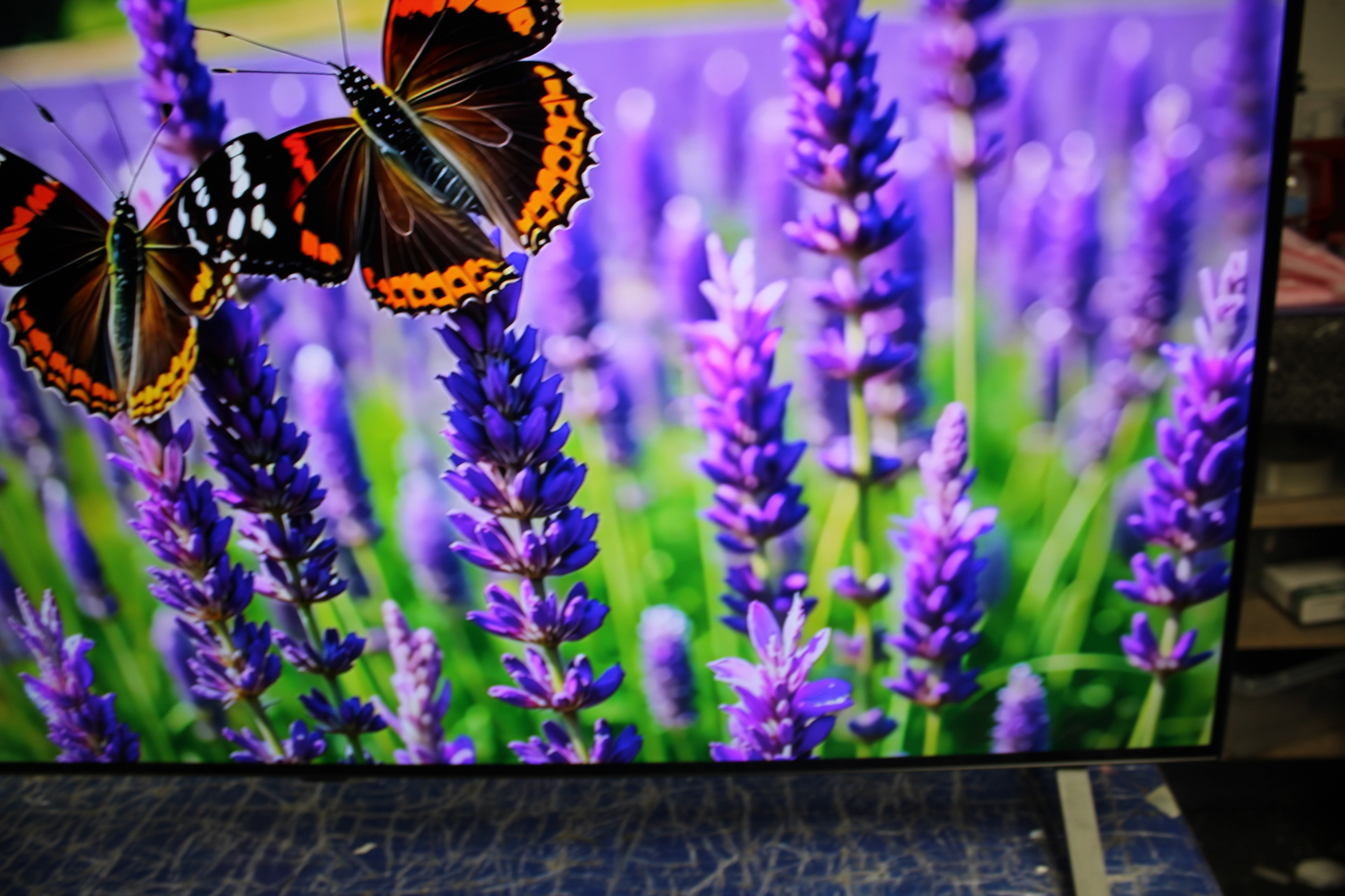 55" LG Evo OLED55B42LA 4K HDR Smart OLED TV - Electronic World TV