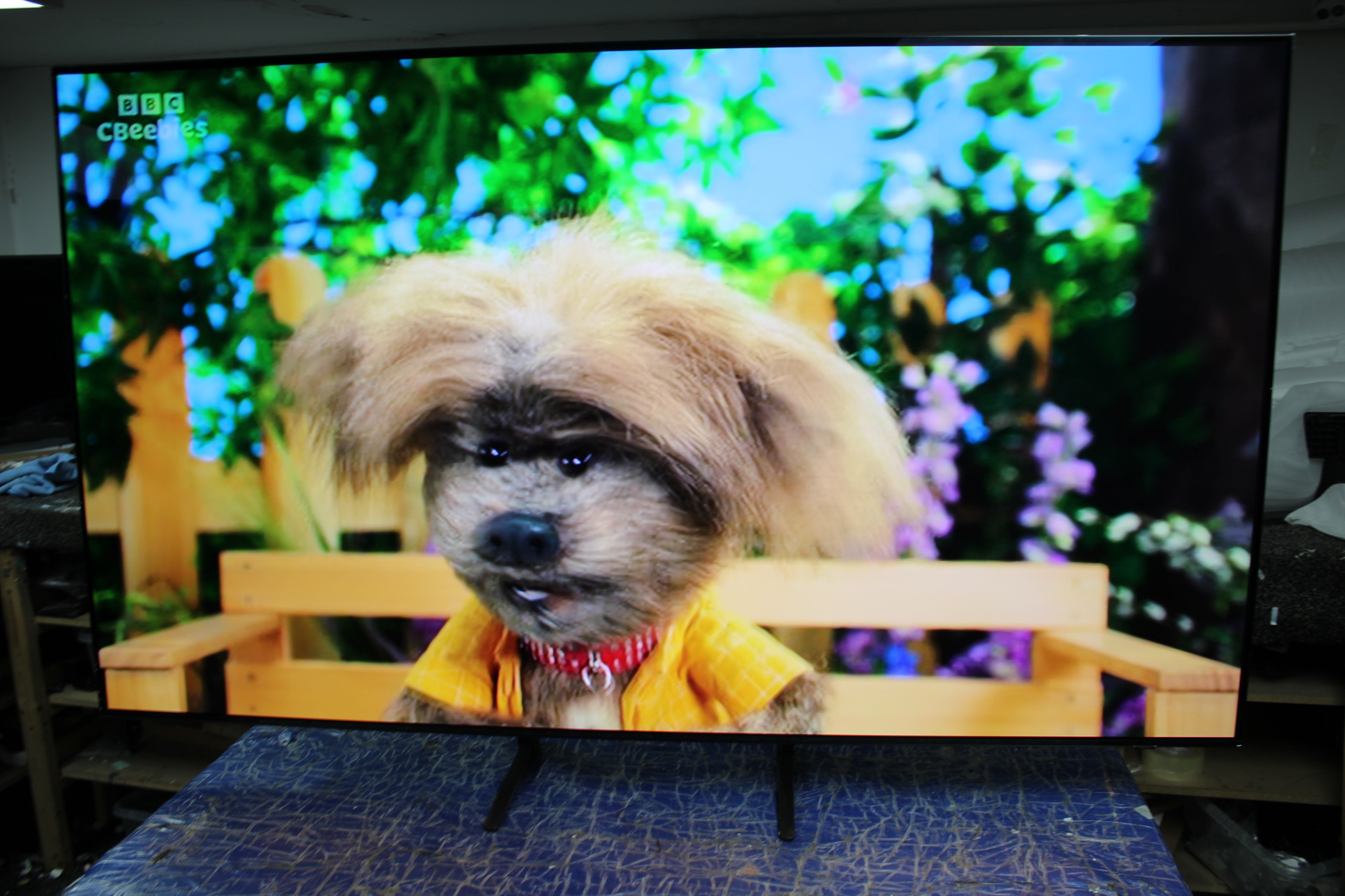 65" Samsung QE65S90D Flagship 4K HDR OLED TV - Electronic World TV