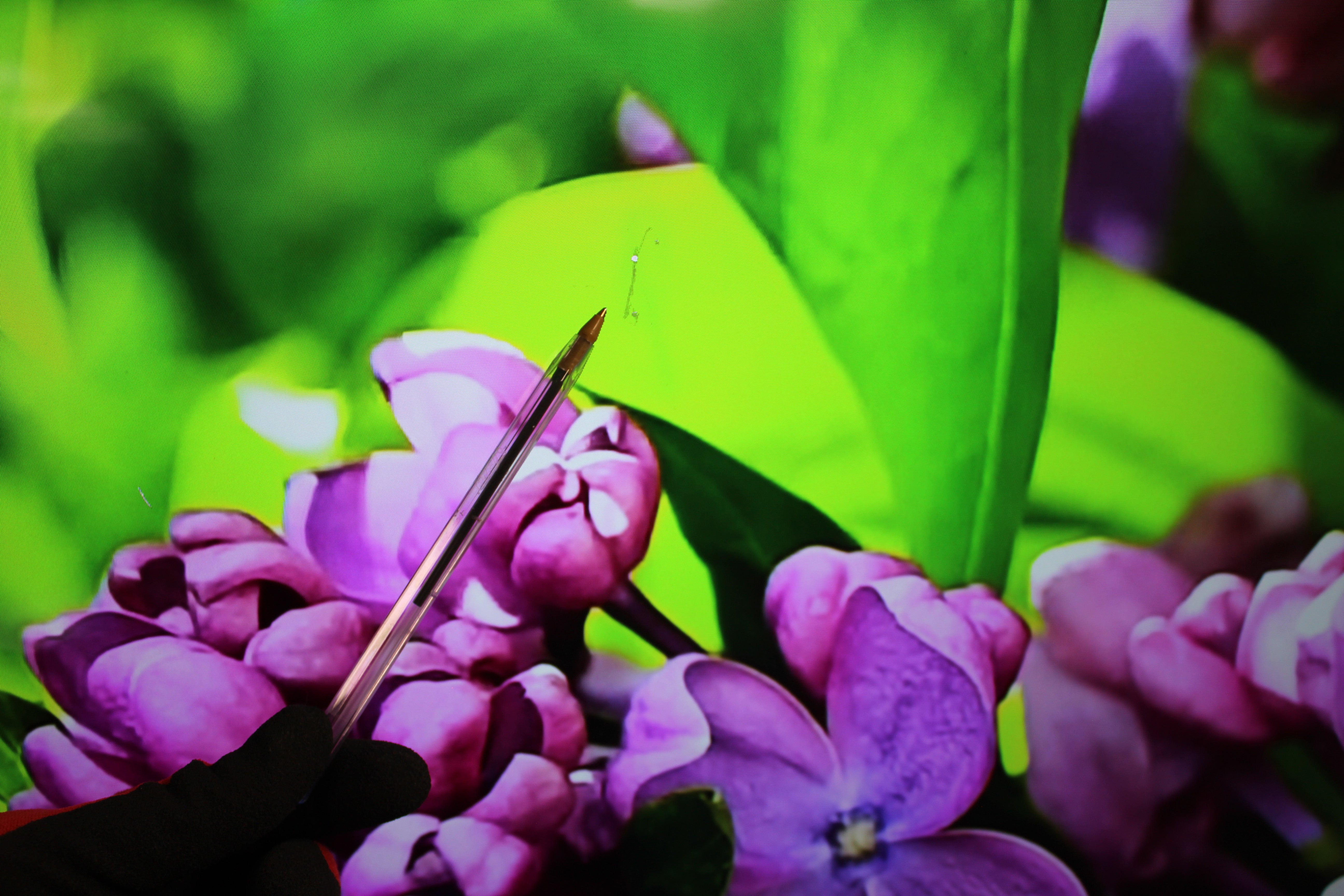 55" Sony KD55XF8096BU 4K Ultra HD HDR Android Smart LED TV - Electronic World TV