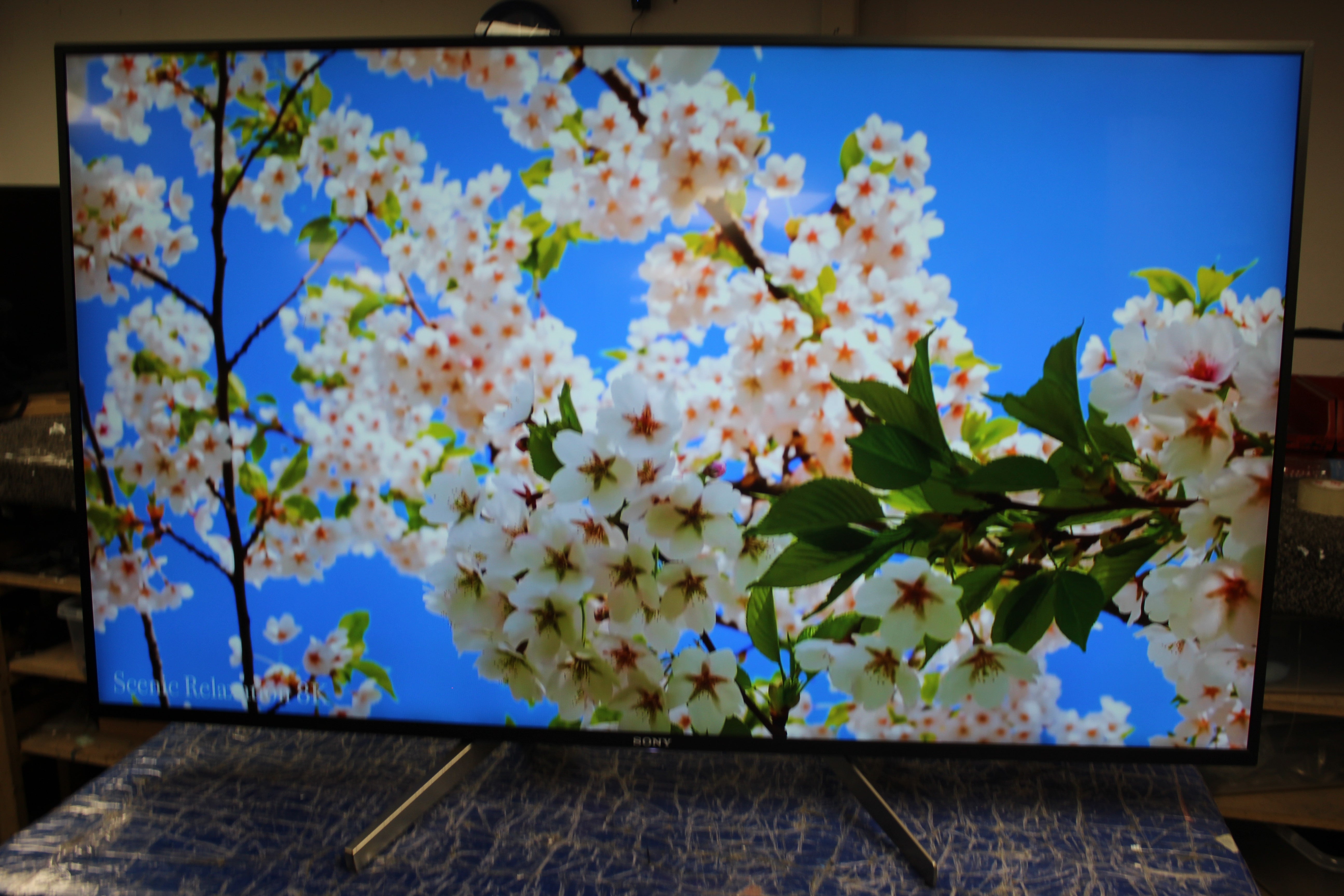 55" Sony KD55XF8096BU 4K Ultra HD HDR Android Smart LED TV - Electronic World TV