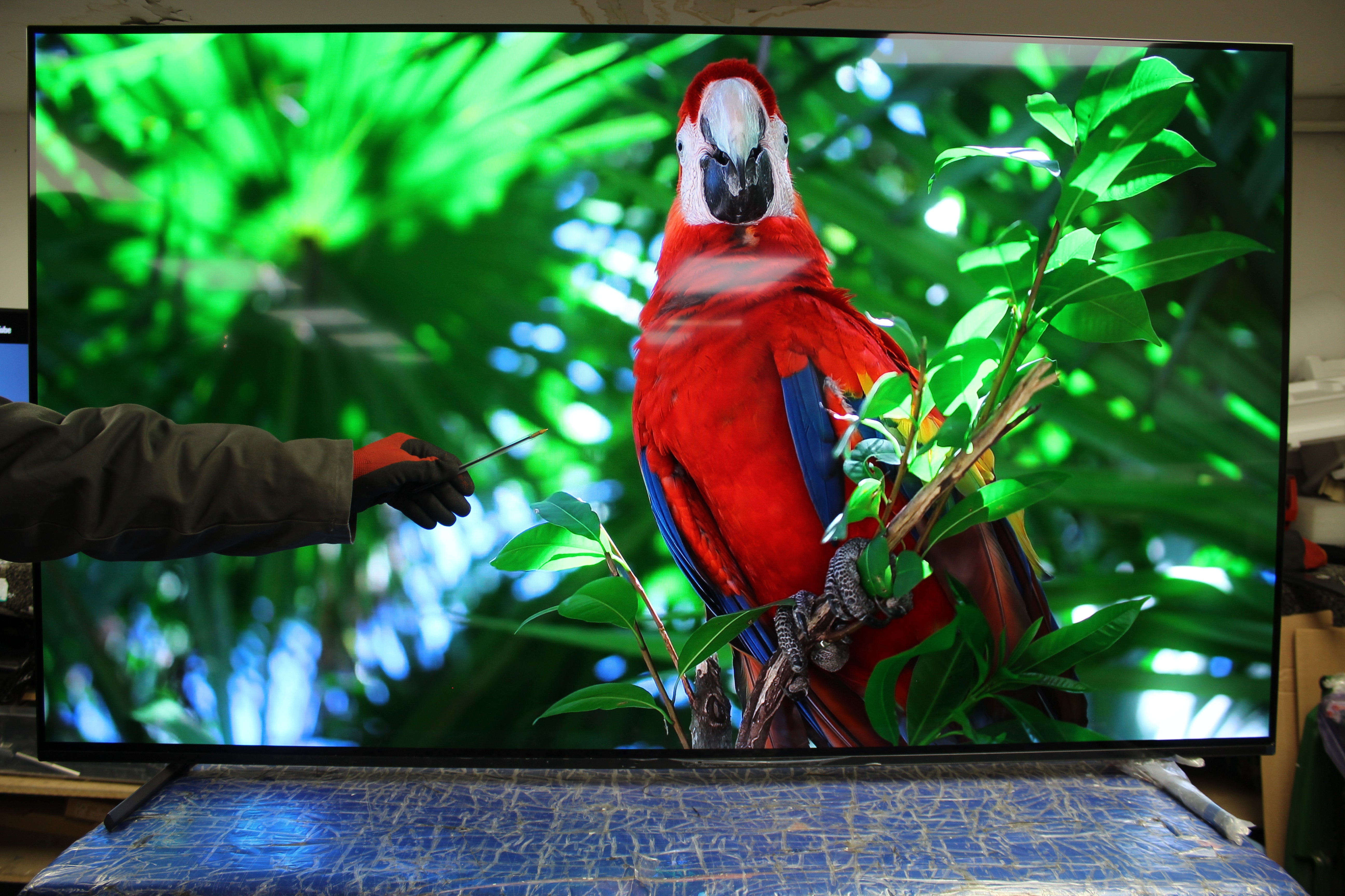 65" Sony Bravia XR65A84LU 4K HDR Google Smart OLED TV - Electronic World TV